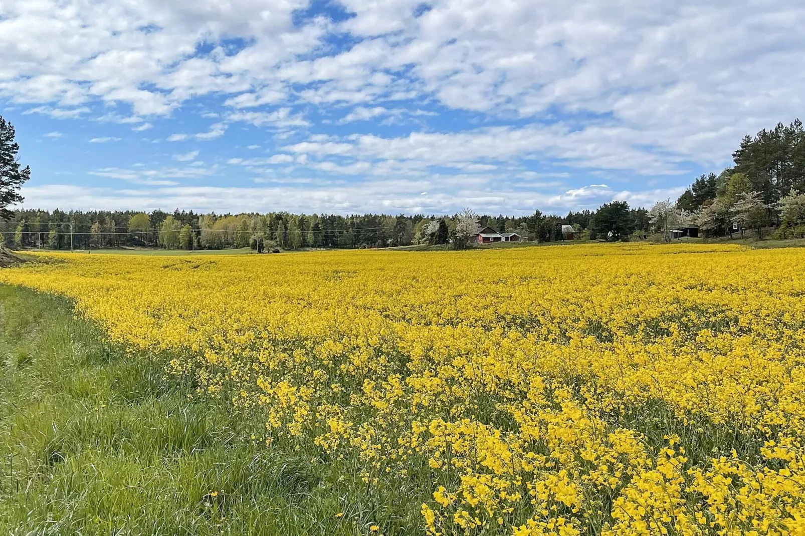 5 persoons vakantie huis in LIDKÖPING-Niet-getagd