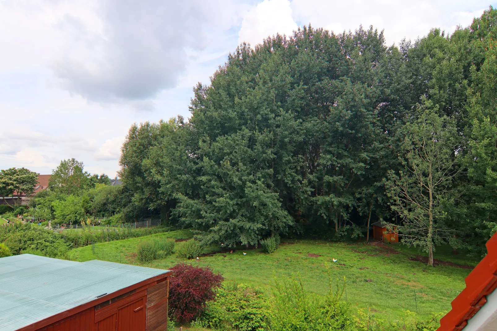 Ferienwohnung Kranichring-Uitzicht zomer