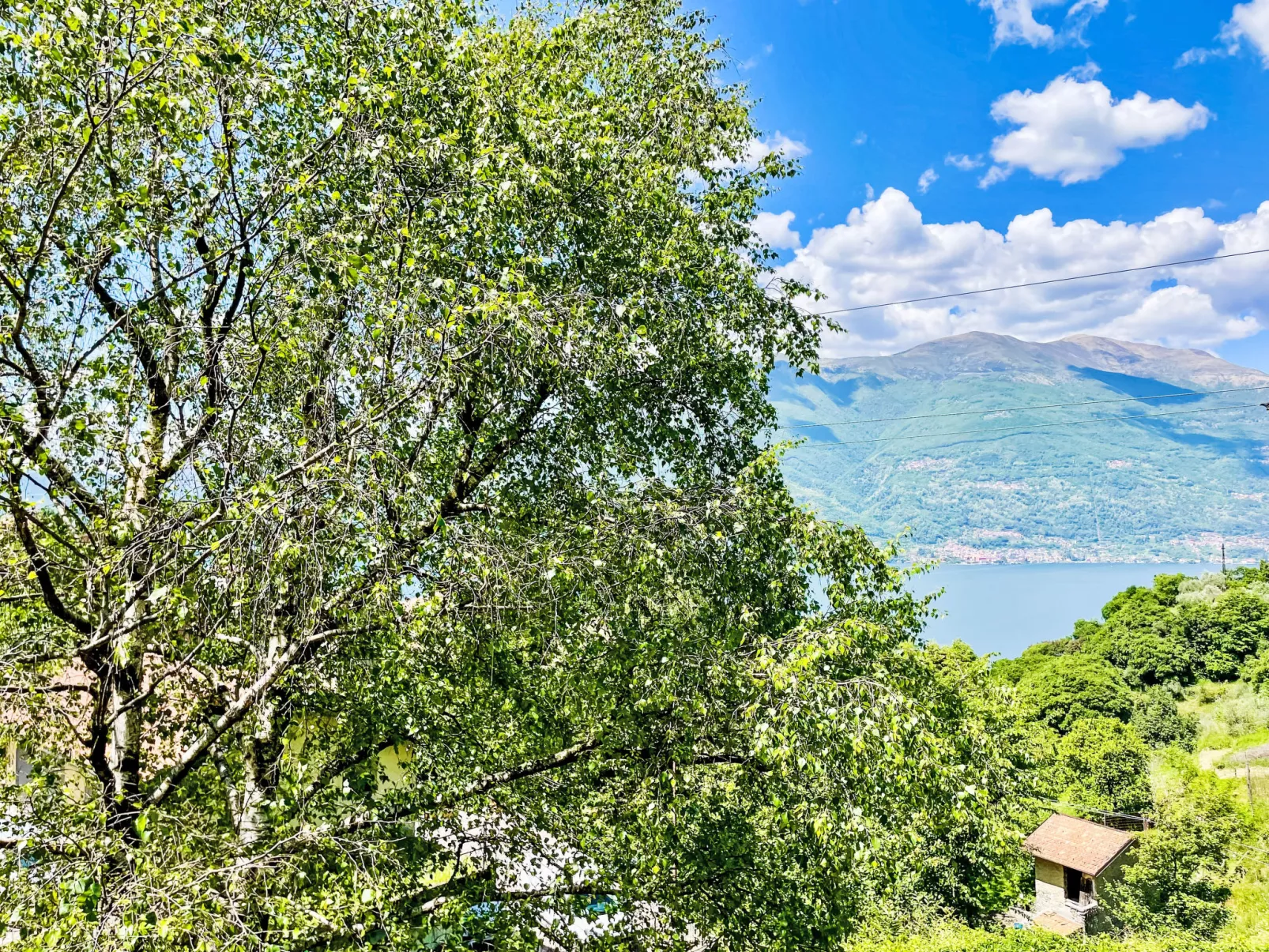 Nel Castagneto-Buiten