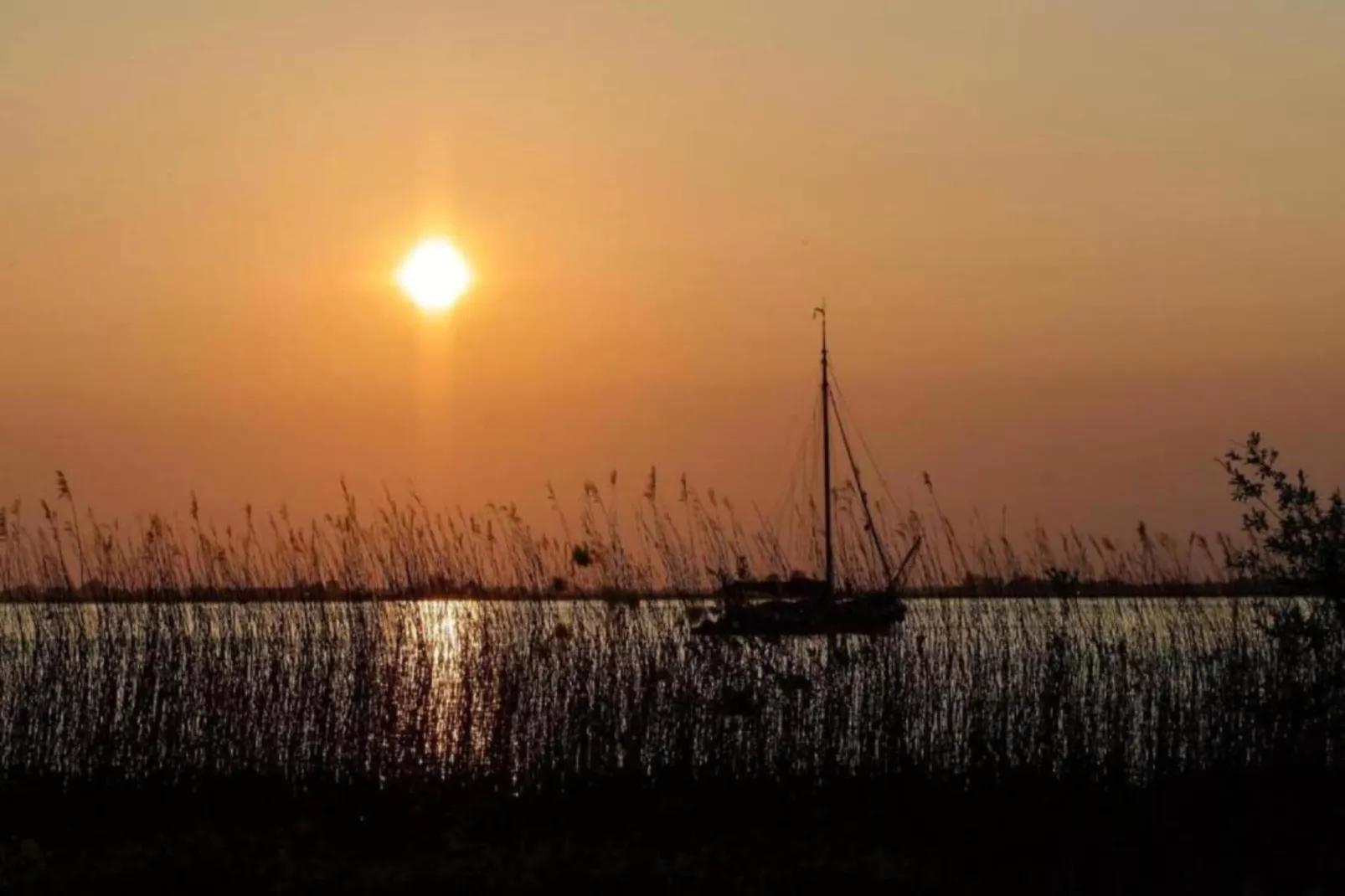 Docklodge 28-Gebieden zomer 5km