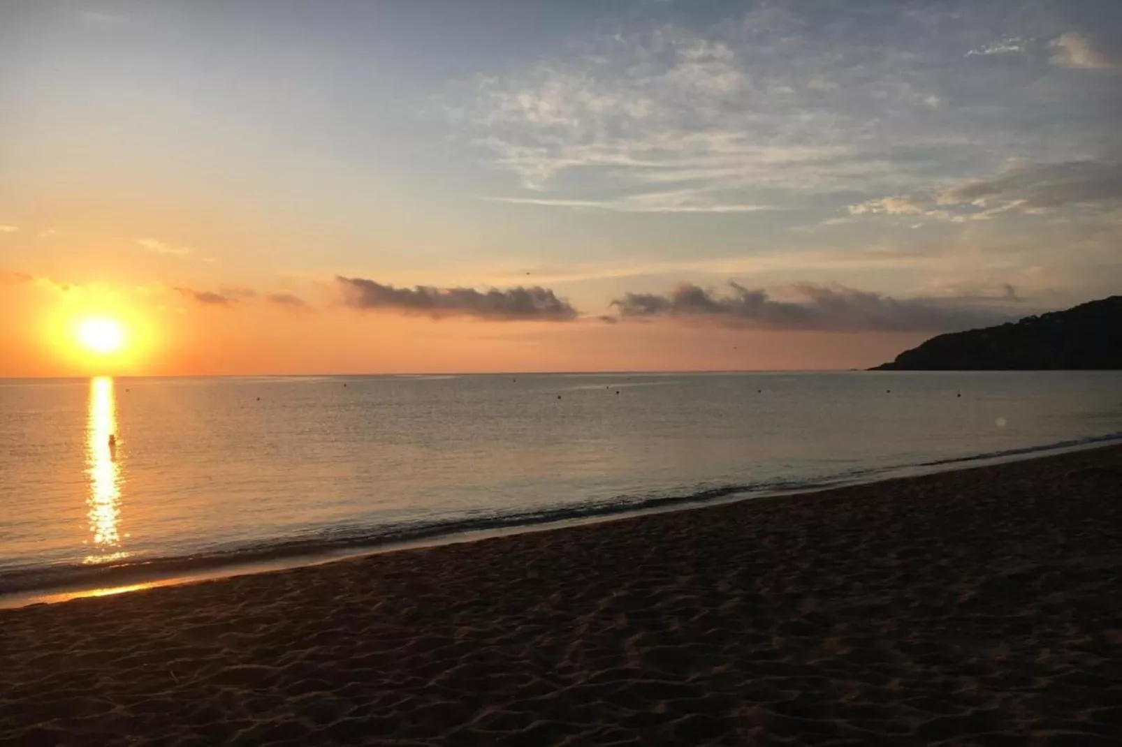 Arcos H1-Gebieden zomer 1km