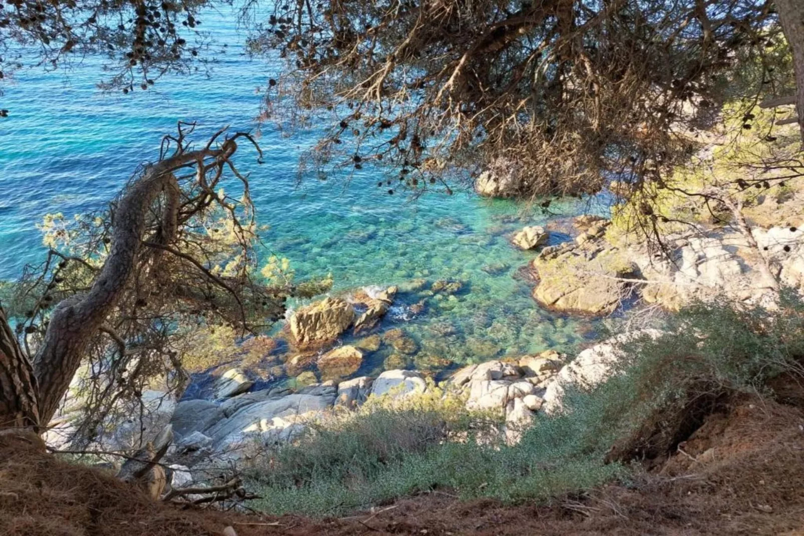 Santa Cristina 6-Gebieden zomer 5km