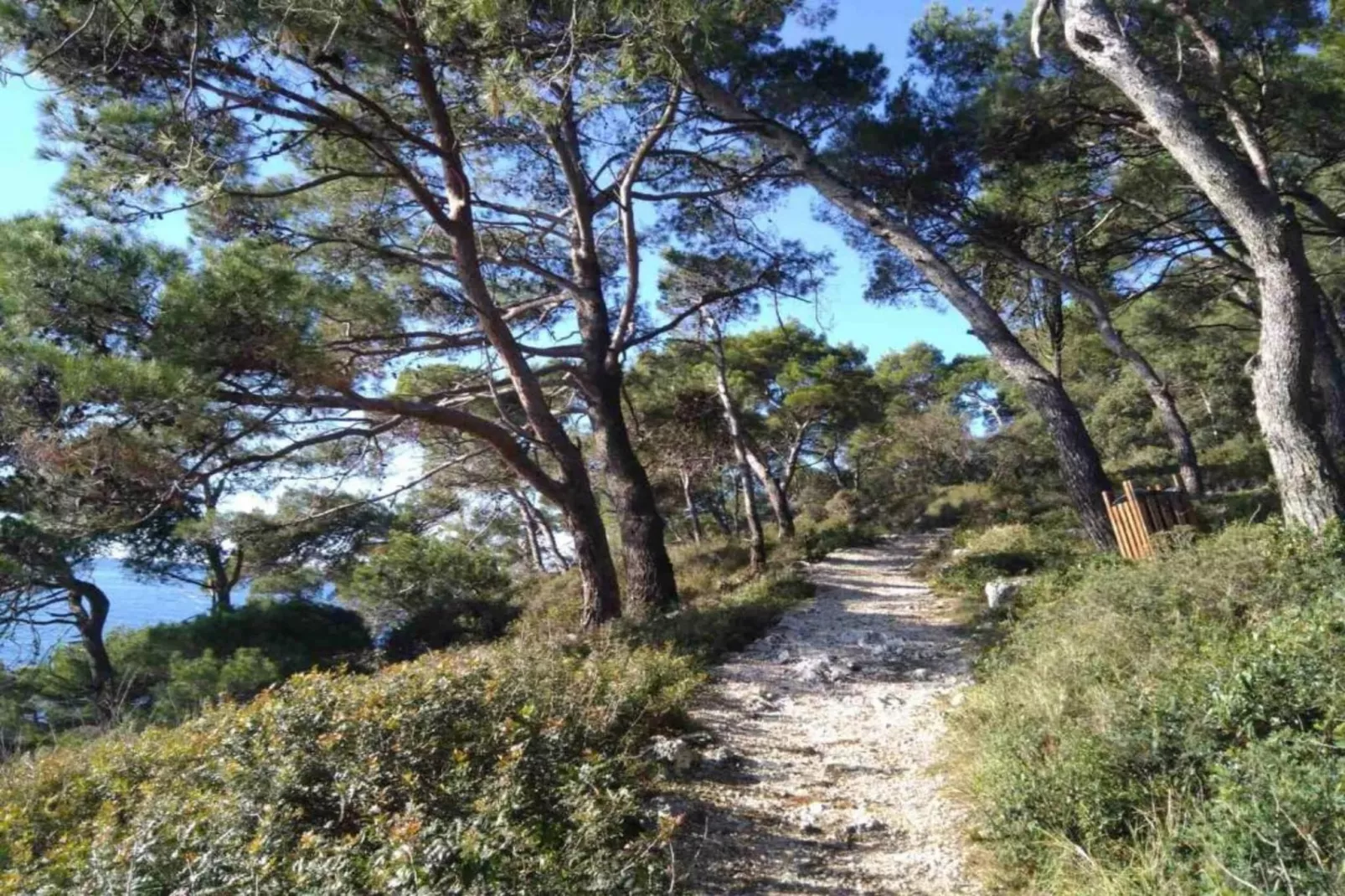 Holiday House Lucia-Gebieden zomer 20km
