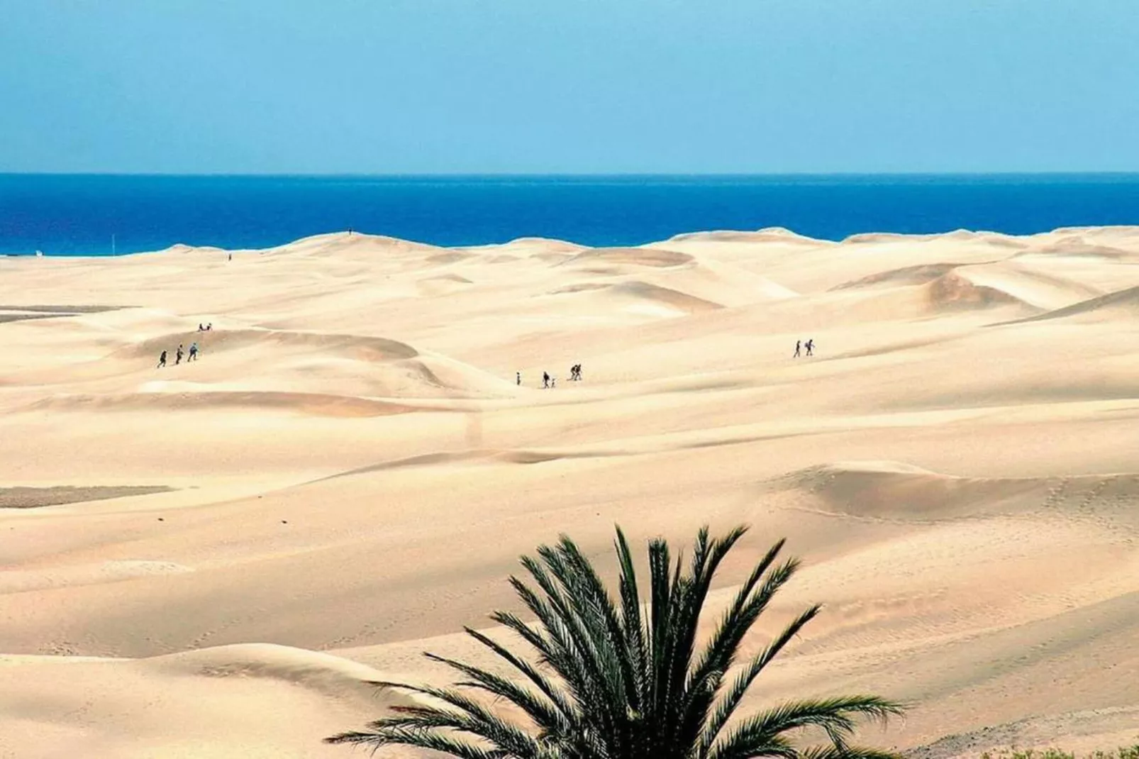 Isla-Gebieden zomer 20km