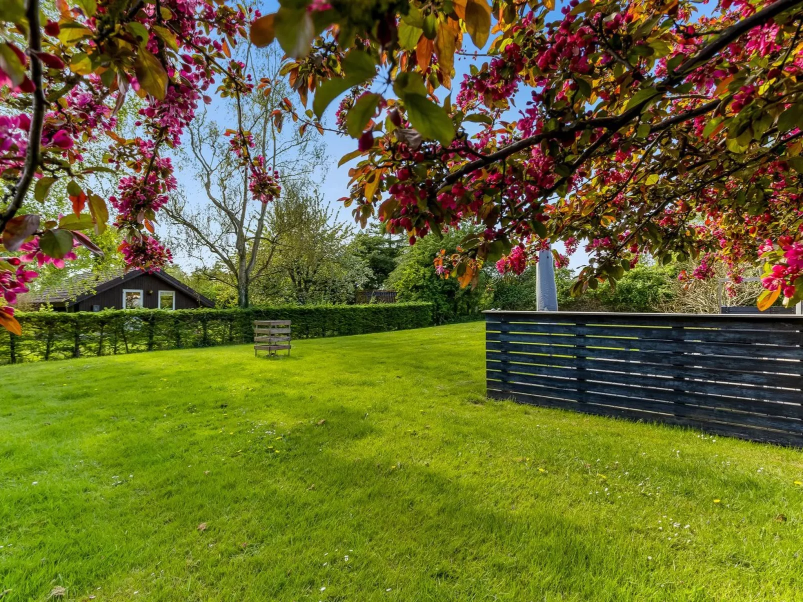 "Prohor" - 150m from the sea-Buiten