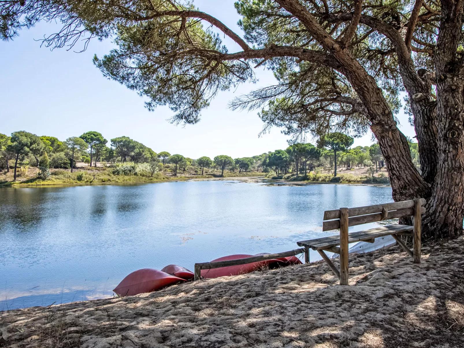 Casa do Lago-Omgeving