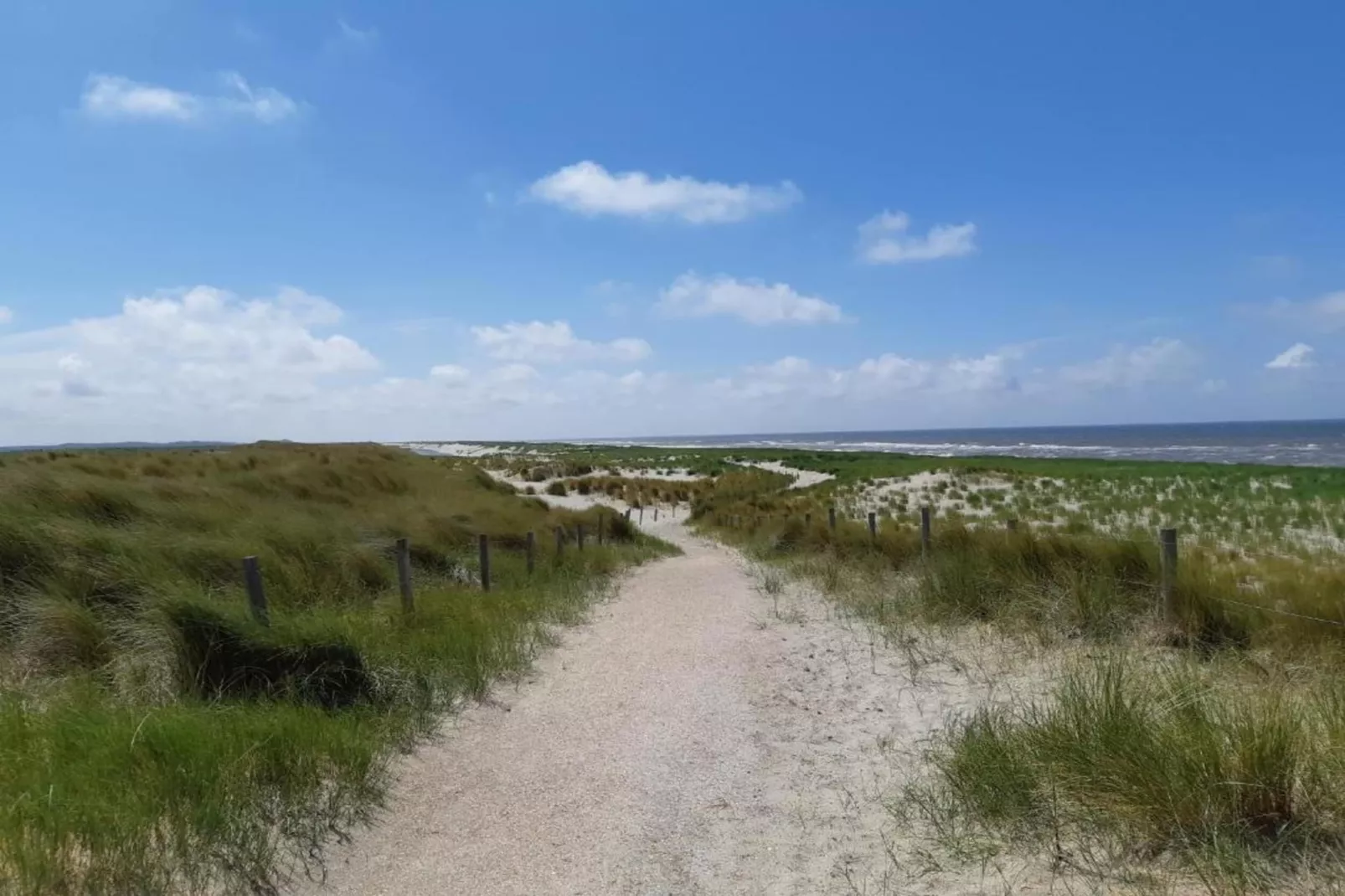 Beach 15-6-Gebieden zomer 5km