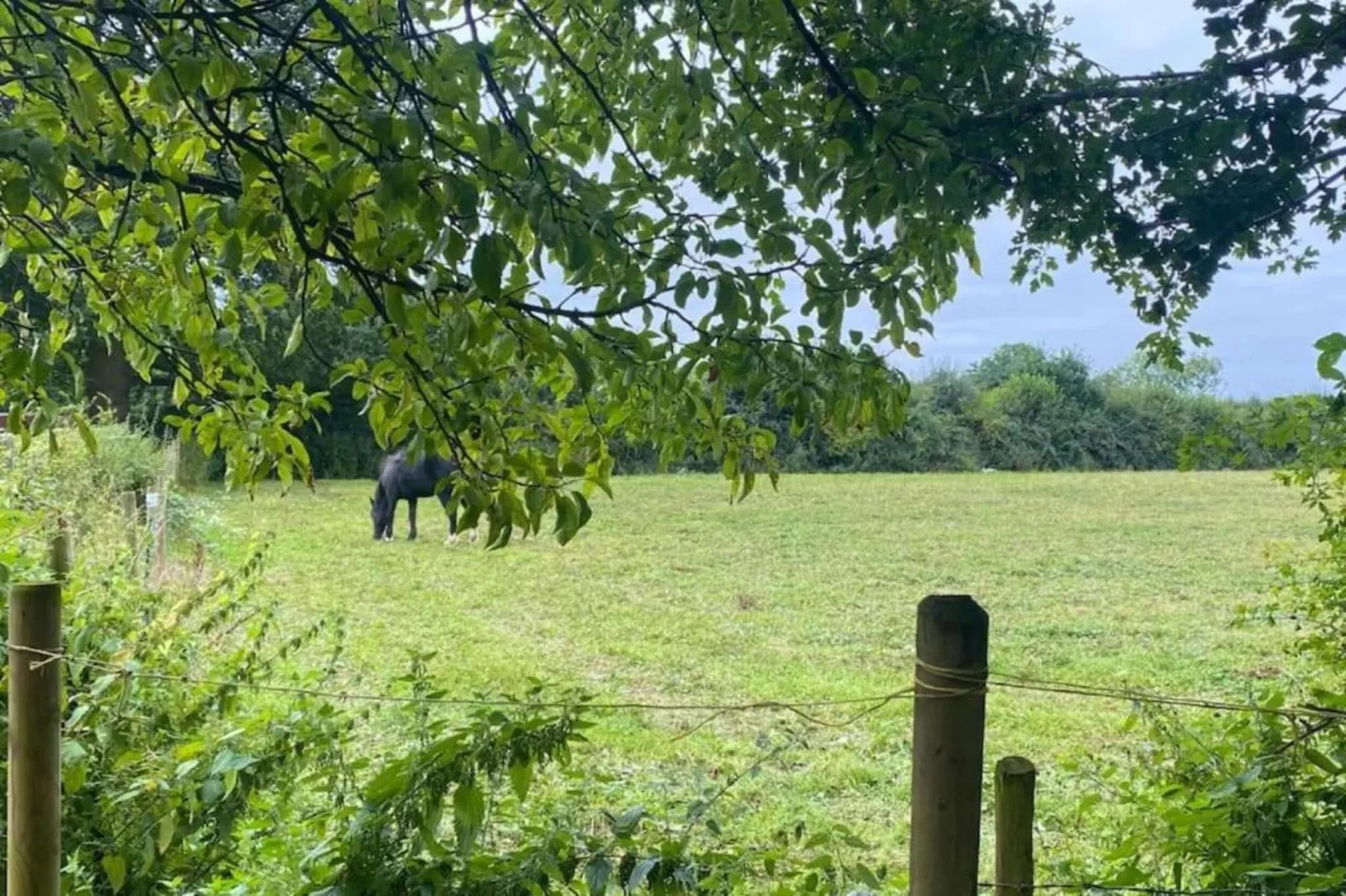The Herdwick Safari Tent-Gebieden zomer 20km