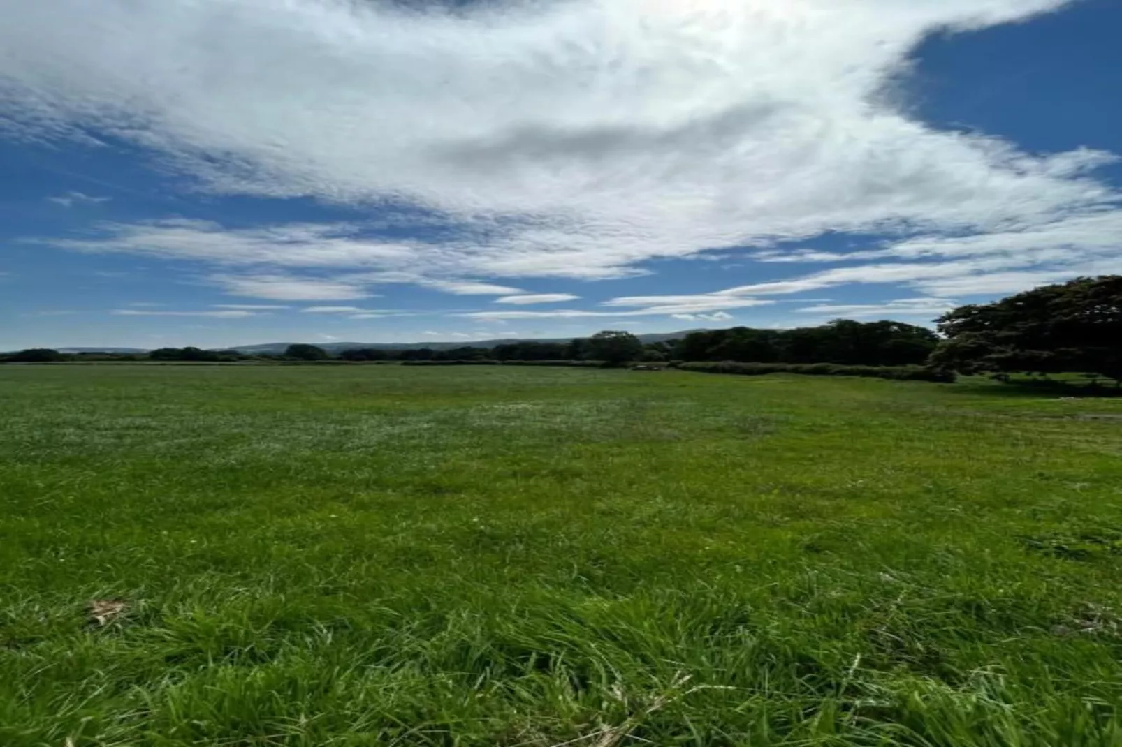 Netley Hall - Lavender-Gebieden zomer 5km