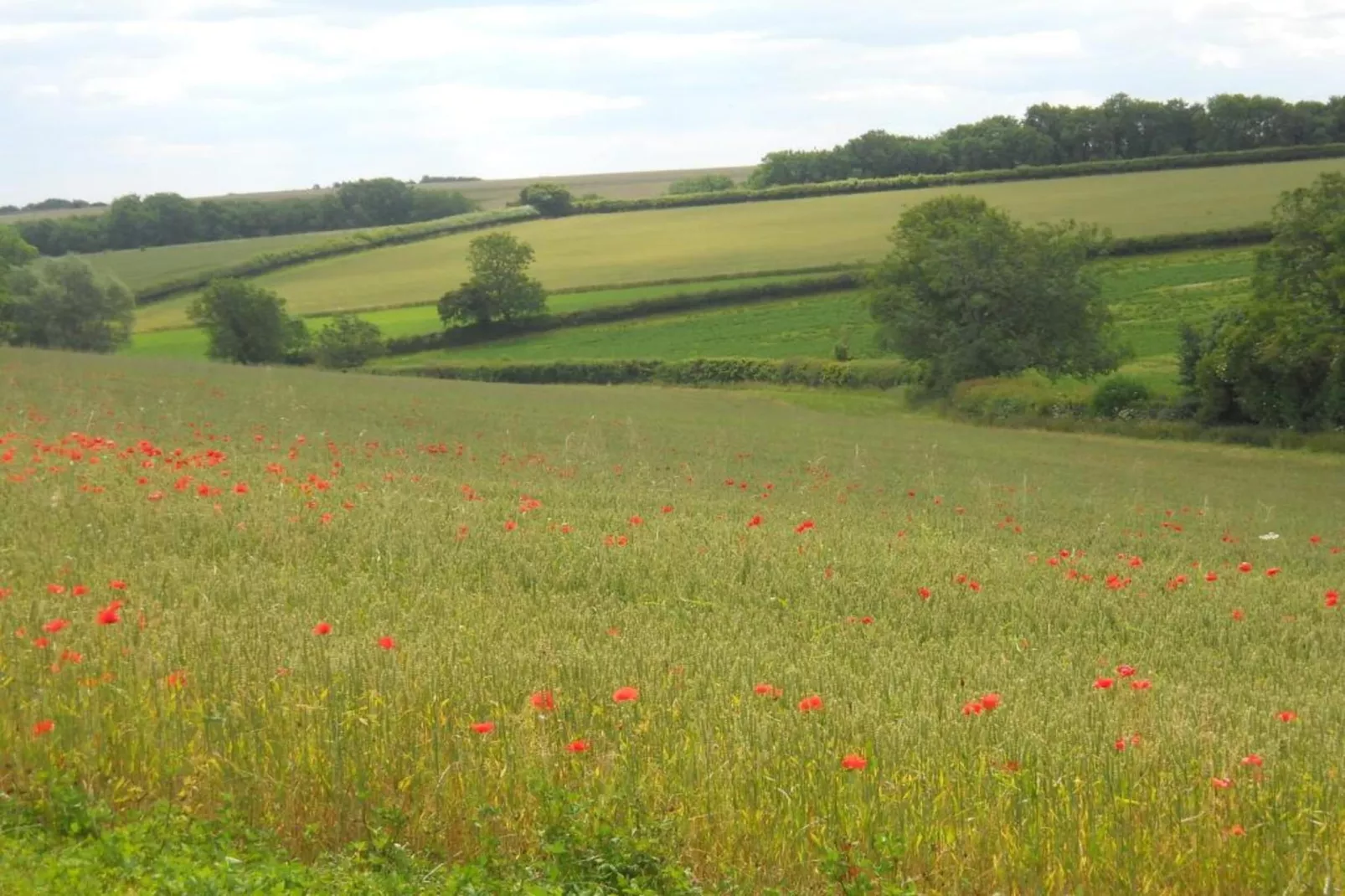 Little Rissington - Barn Four-Gebieden zomer 20km