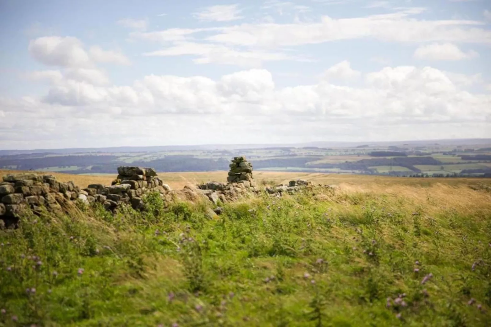 Blackcleugh Glamping-Gebieden zomer 5km