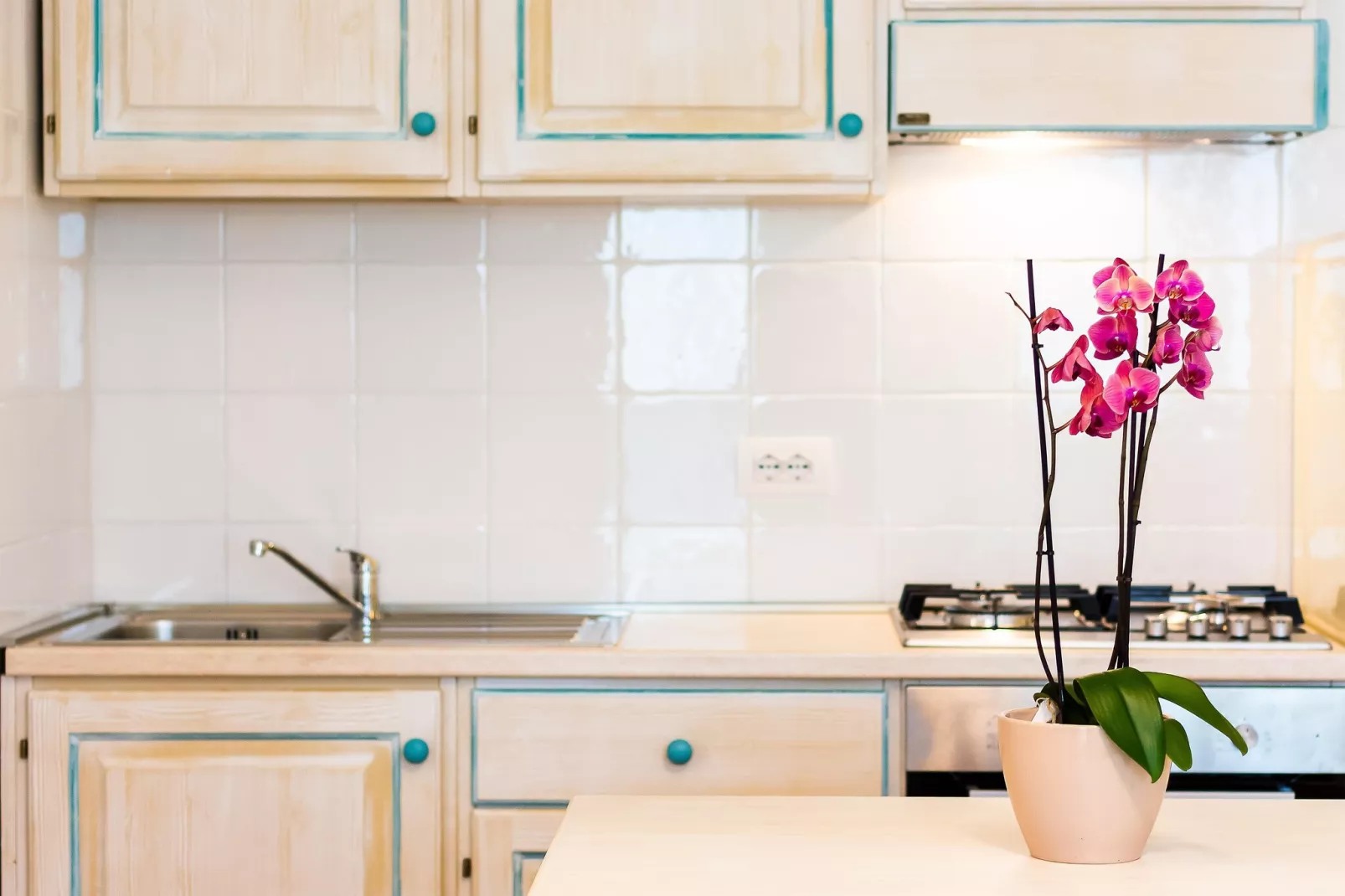 Le Residence del Baia Marina Bilo 4 premium-Keuken