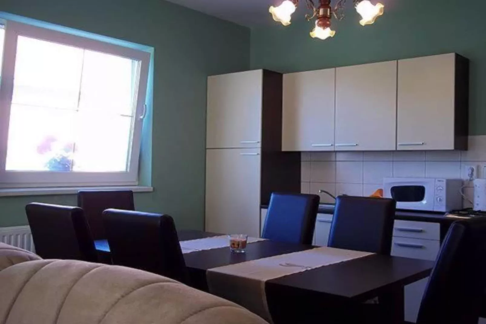 Apartment Čeliković - One Bedroom Apartment with Balcony-Keuken
