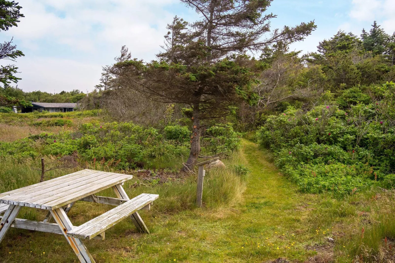 7 persoons vakantie huis in Hurup Thy-By Traum-Uitzicht