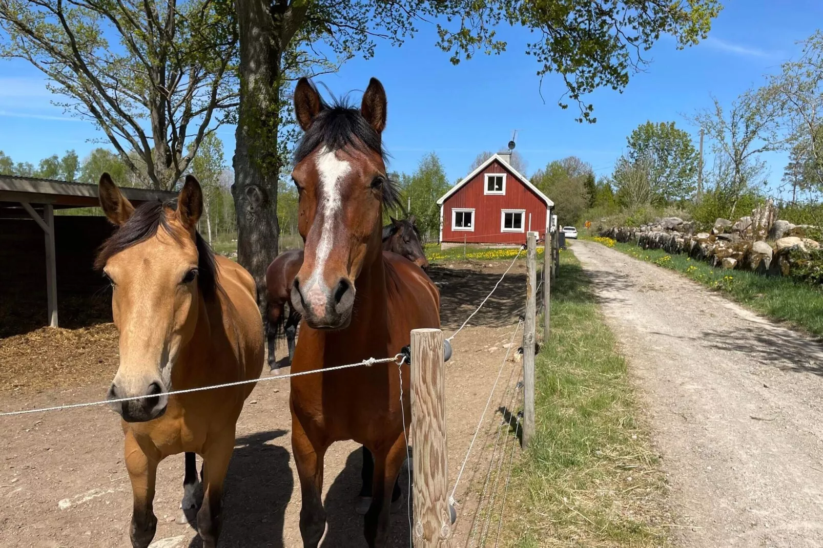 6 persoons vakantie huis in TINGSRYD-By Traum-Buitenlucht