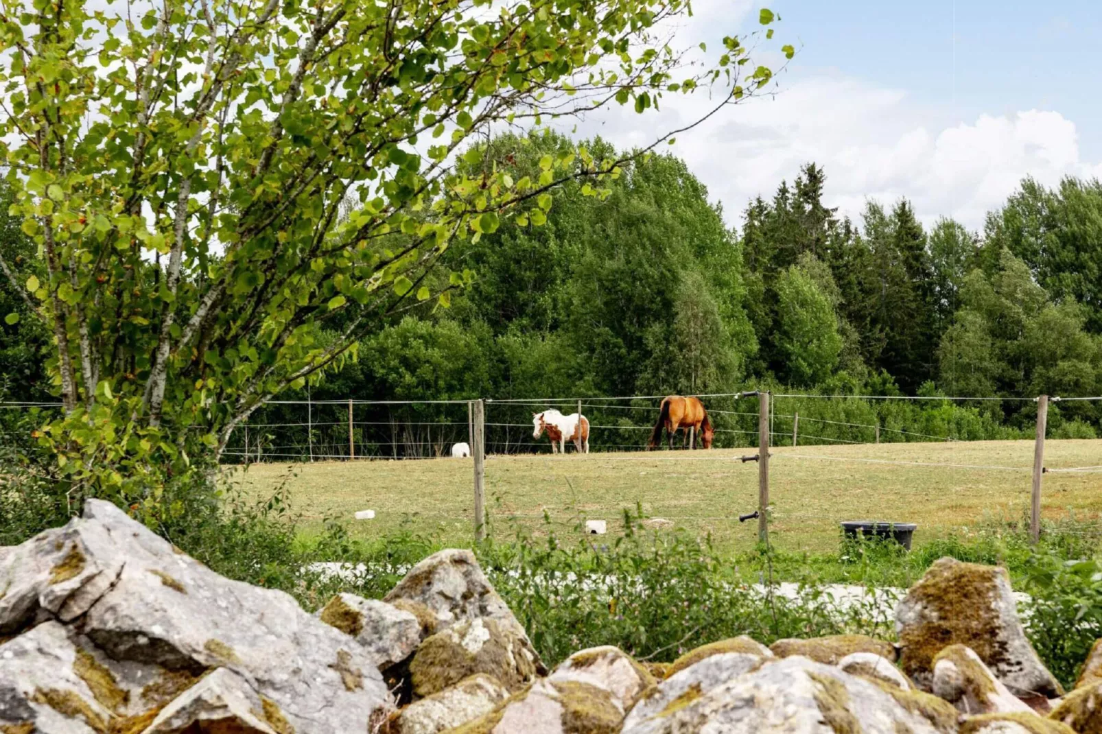 6 persoons vakantie huis in TINGSRYD-Buitenlucht