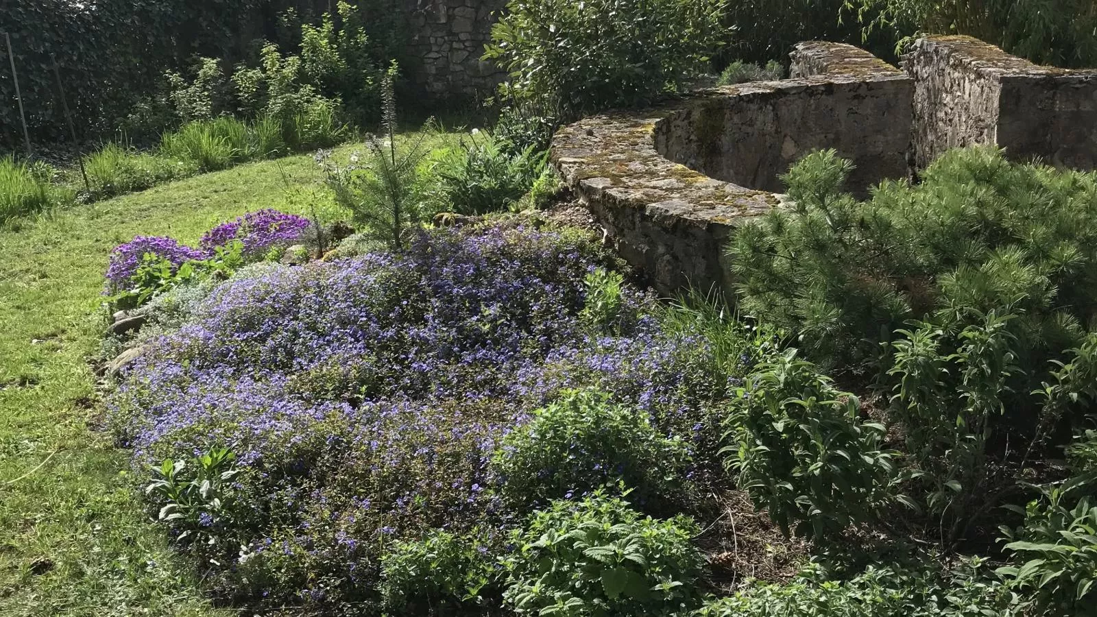 Jardins Fleuries-Tuinen zomer