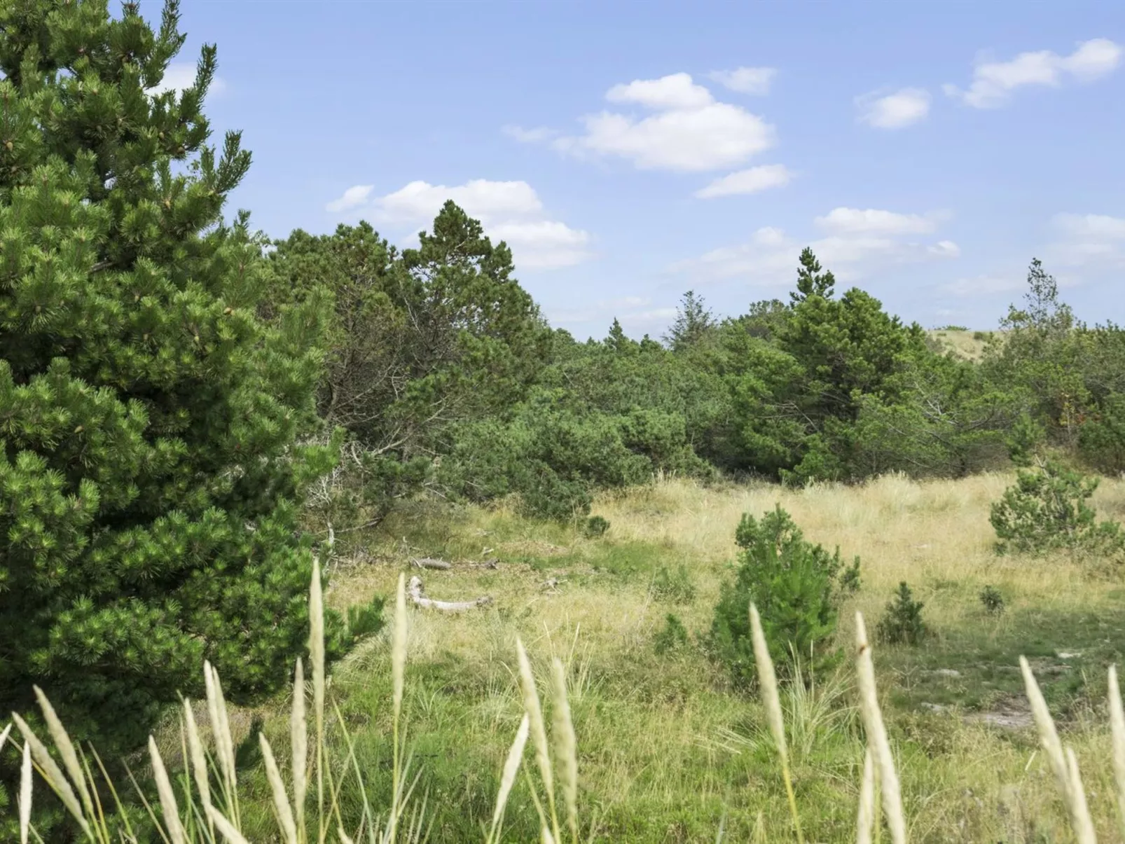 "Gise" - 2km from the sea-Buiten