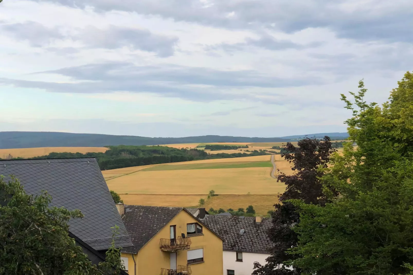 PH1 Ferienwohnung Standard Pellinger-Hof-Uitzicht zomer