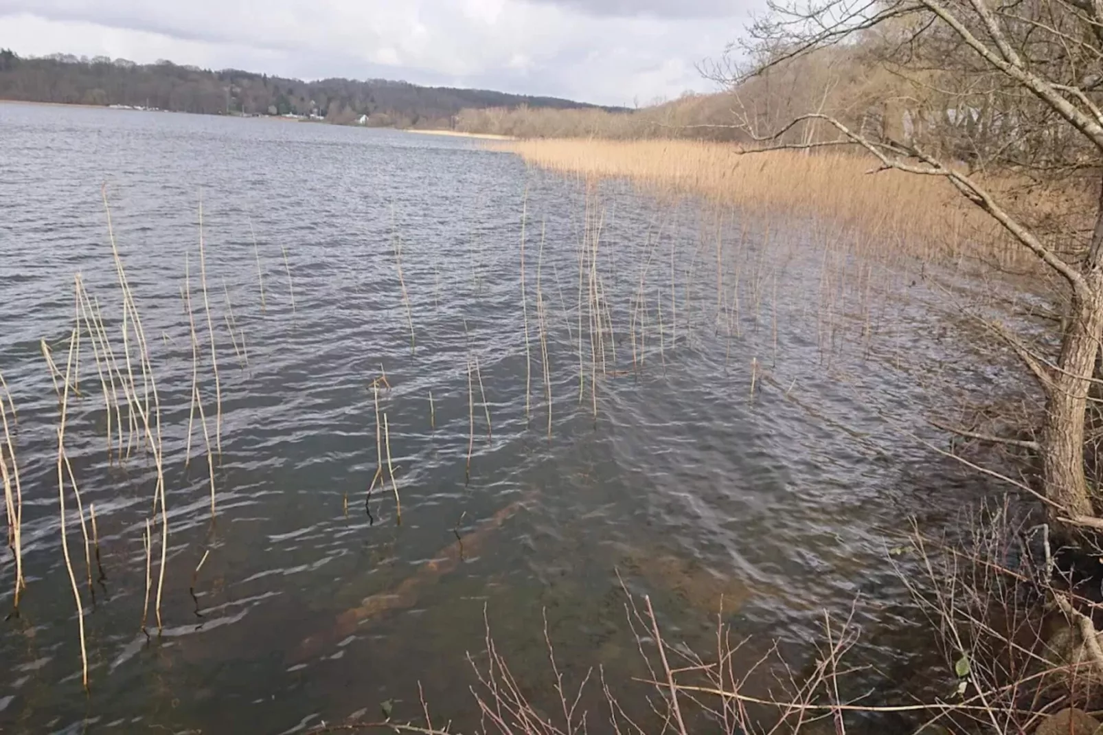 Rustige oevertoevlucht in Ry-By Traum-Waterzicht