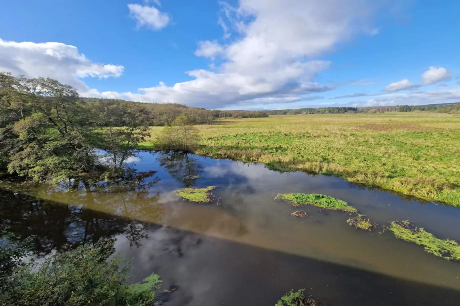 Vakantiehuis aan het meer met bos-Waterzicht