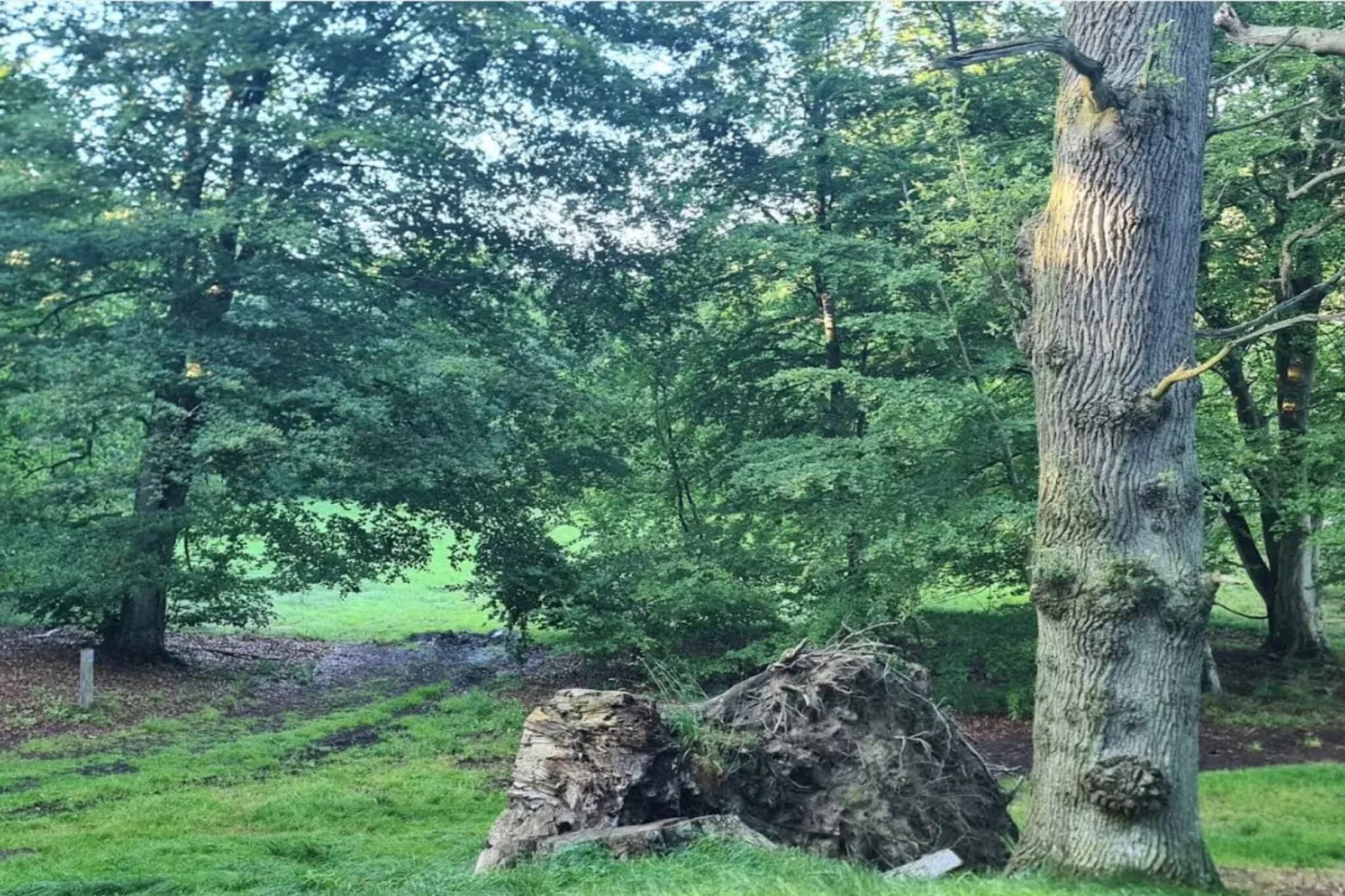 4 persoons vakantie huis in Faxe Ladeplads-Niet-getagd