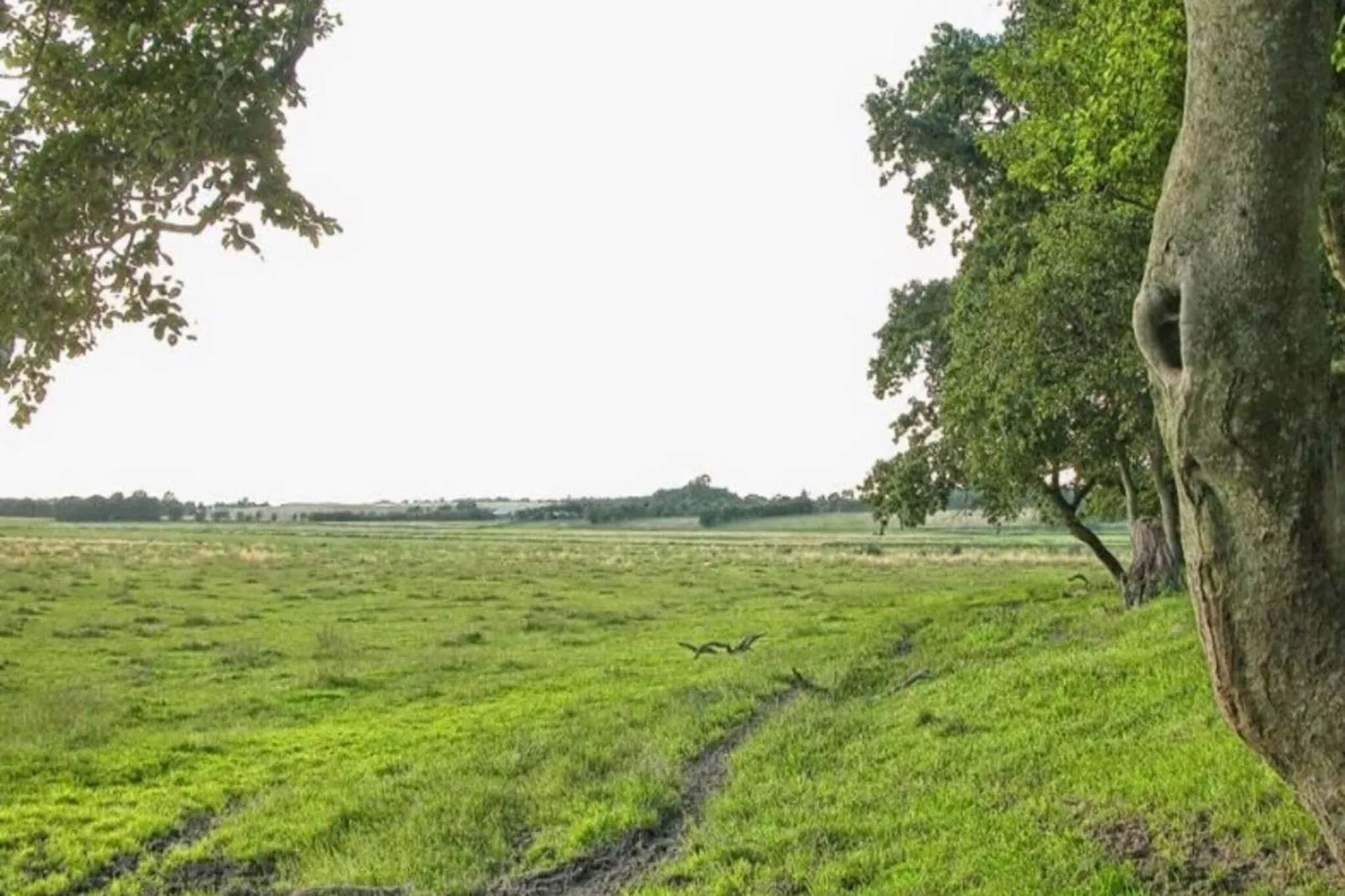 6 persoons vakantie huis in Kolind-By Traum-Binnen