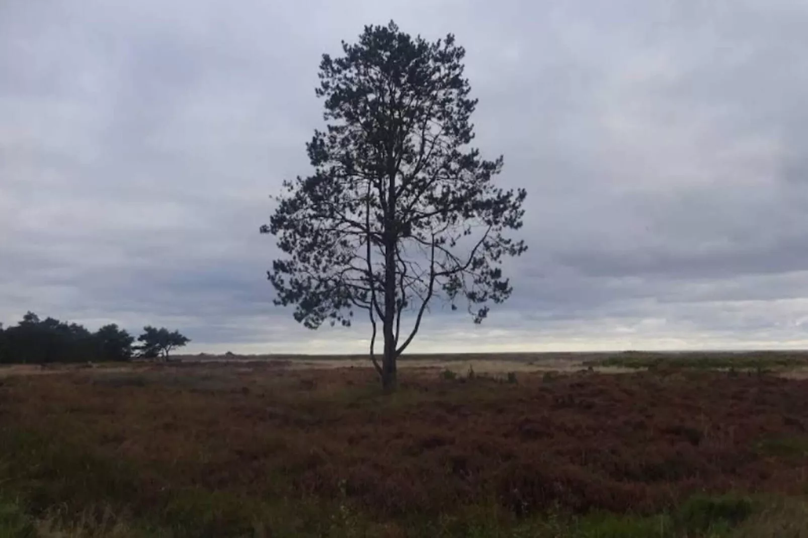 6 persoons vakantie huis in Hals-By Traum-Buitenlucht