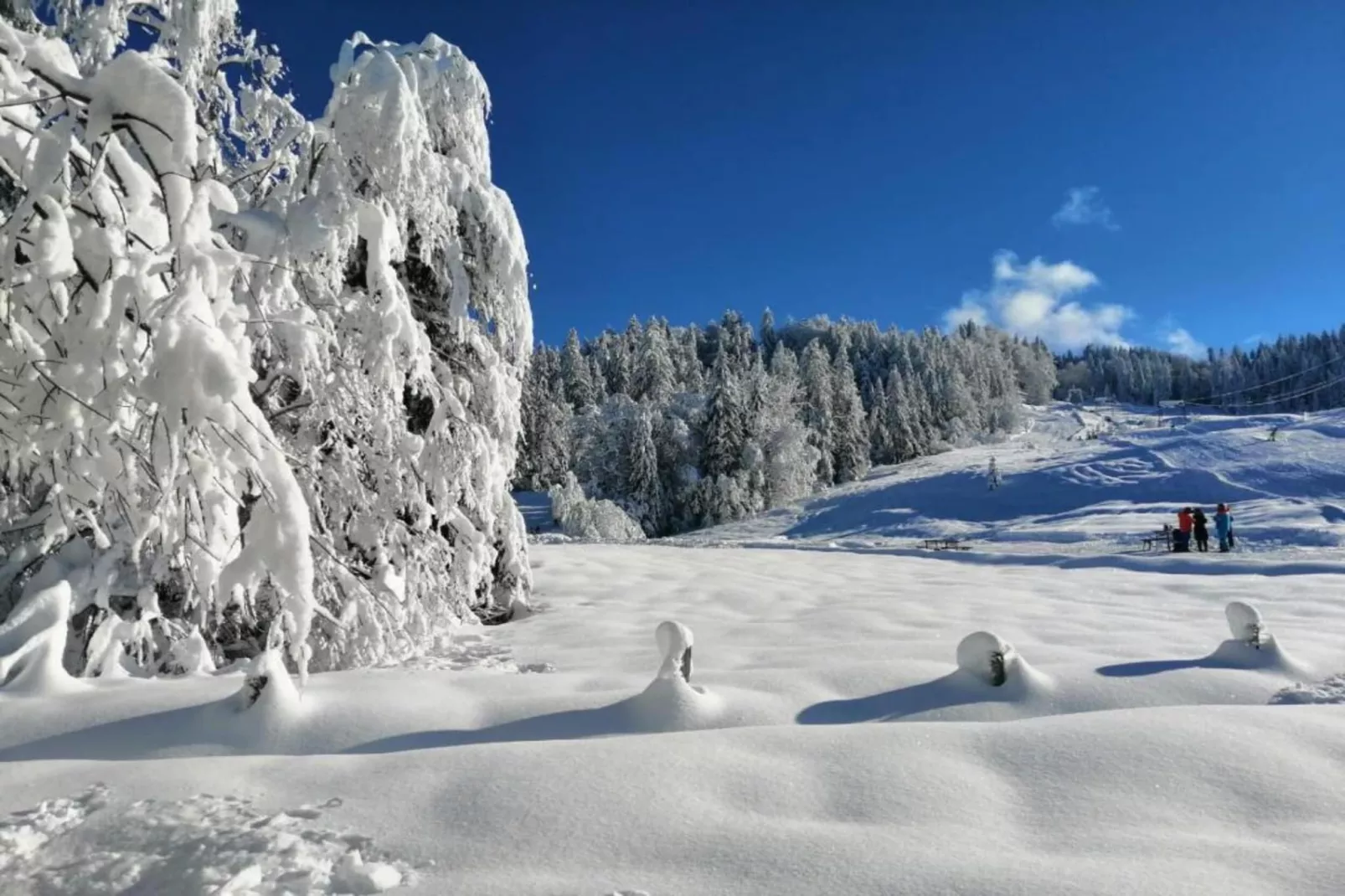 Barbara-Gebied winter 20km