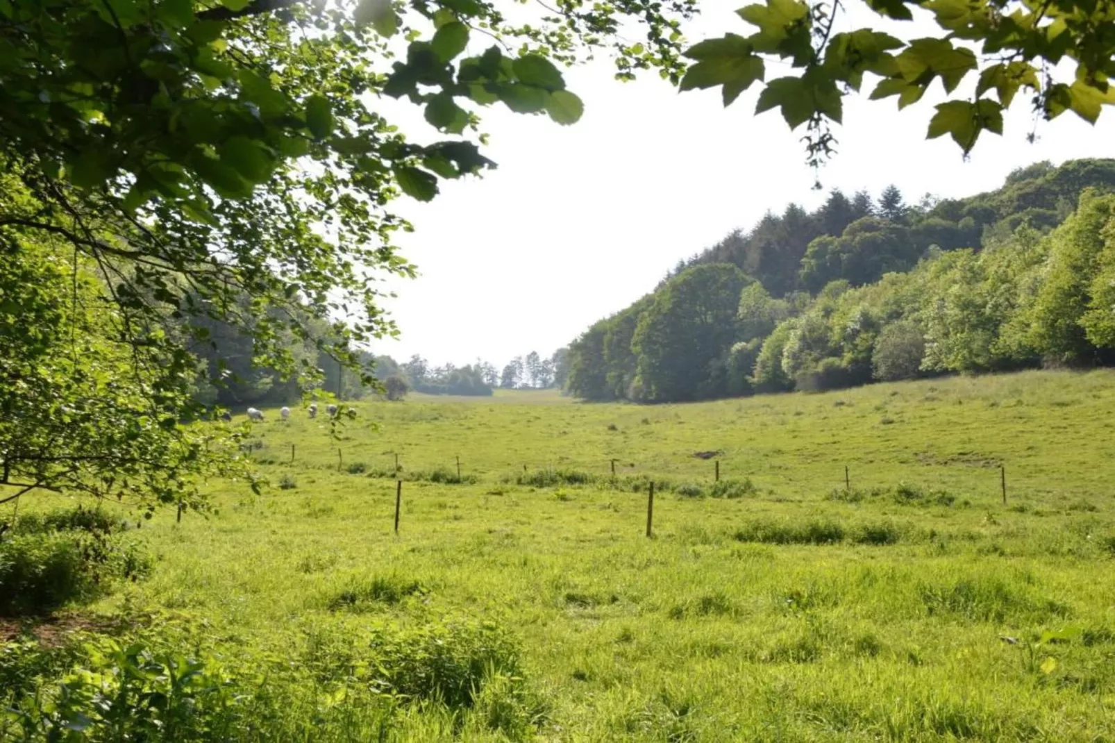 La Ferme de Foy 24-Gebieden zomer 5km