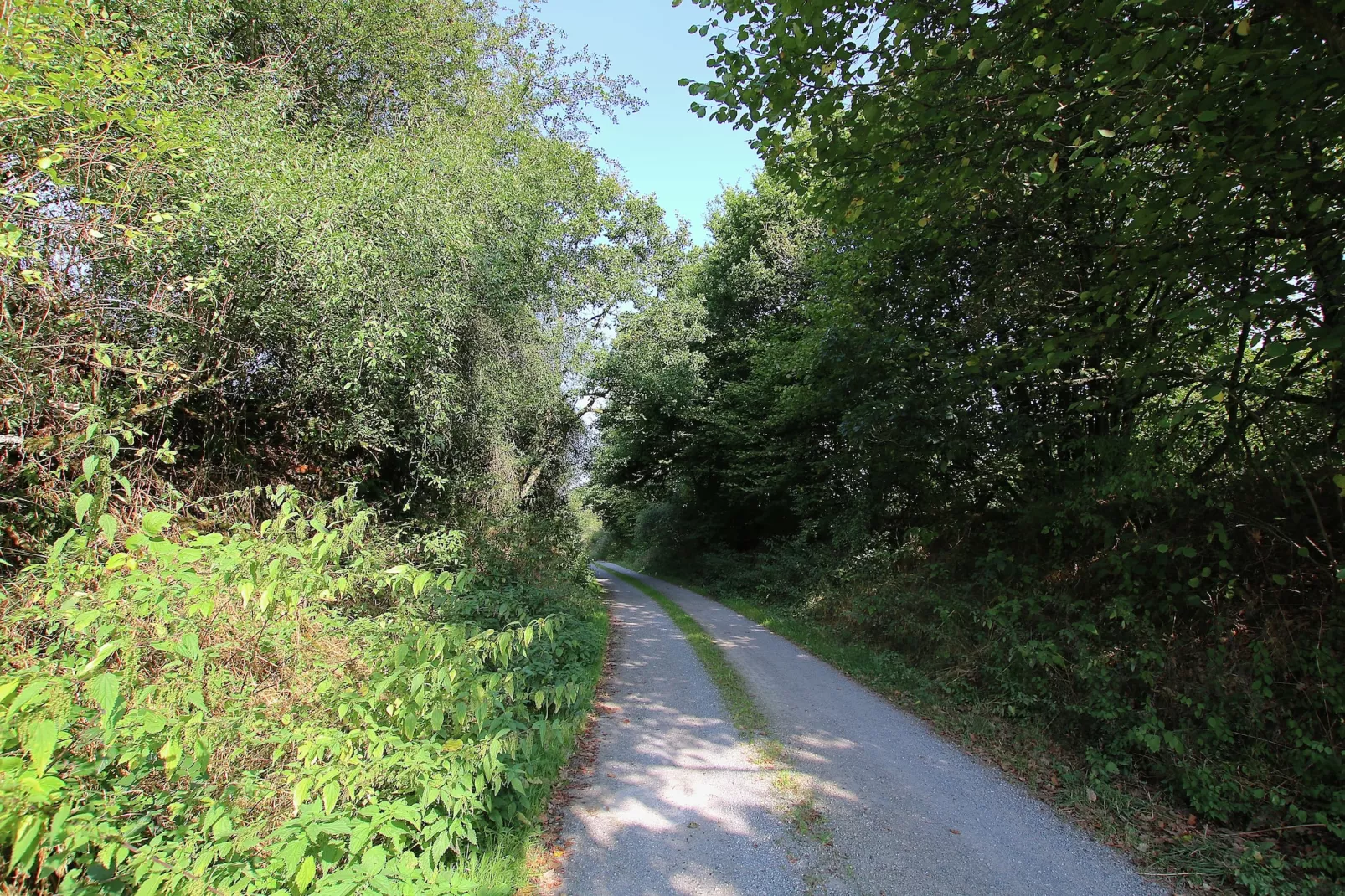 Oasis-Gebieden zomer 20km