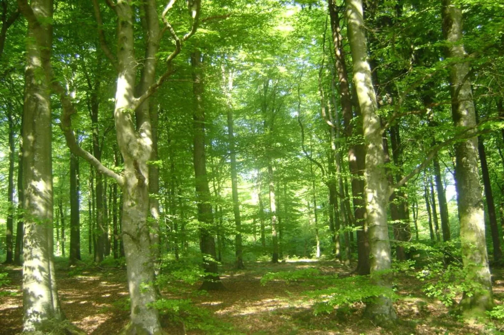 La Villa Louise-Gebieden zomer 20km