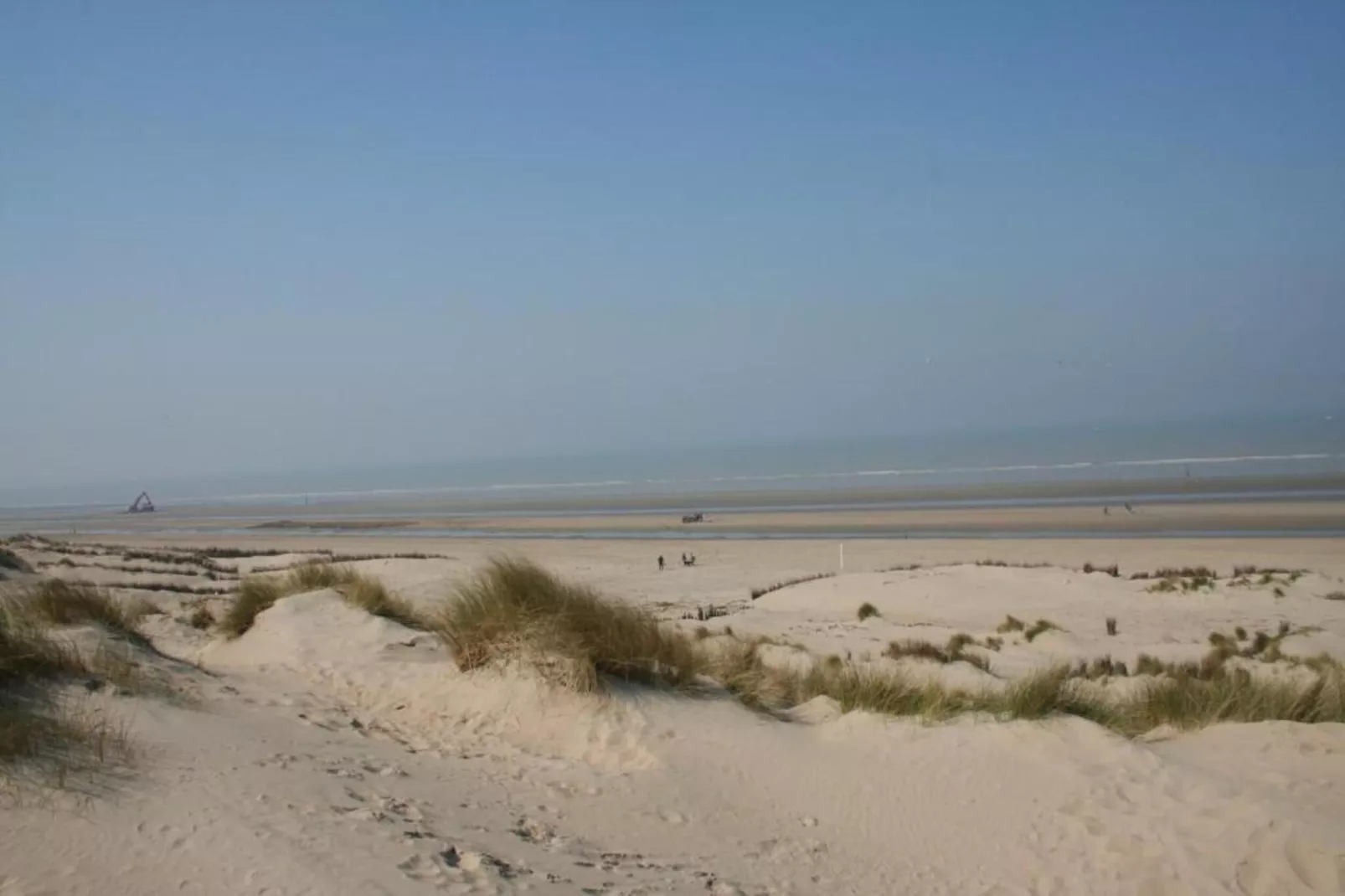 Villa Bos en Zee-Gebieden zomer 20km