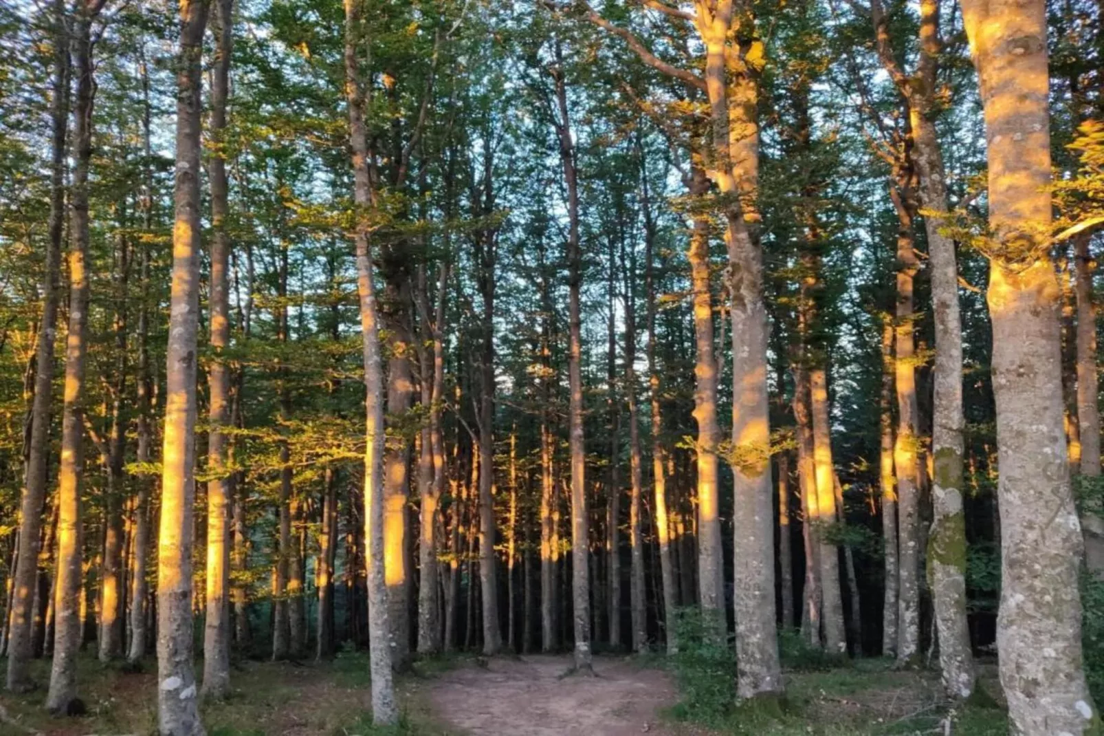 Villa Swing-Gebieden zomer 20km