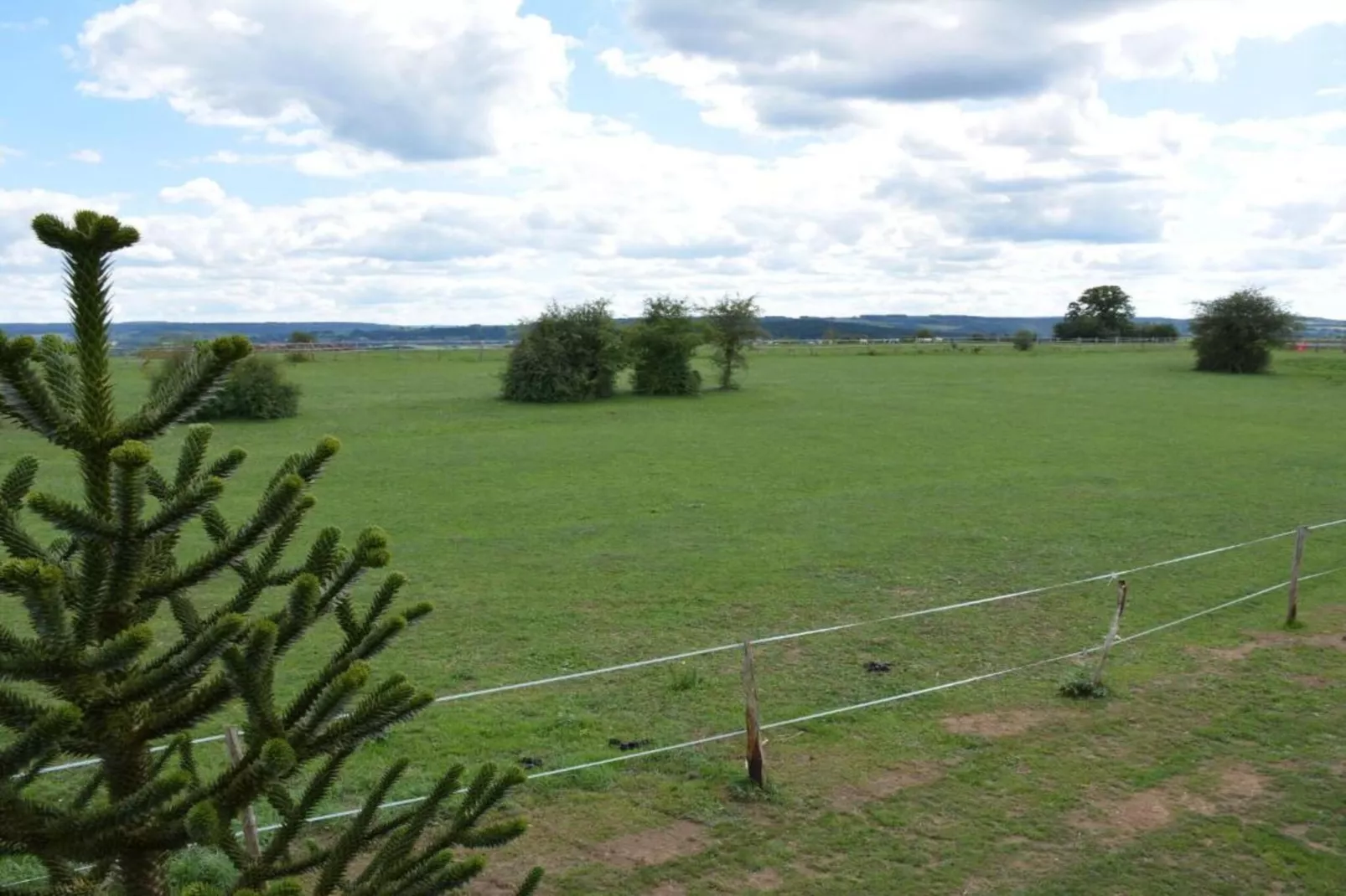 Le Vieux Tilleul du Château-Gebieden zomer 20km