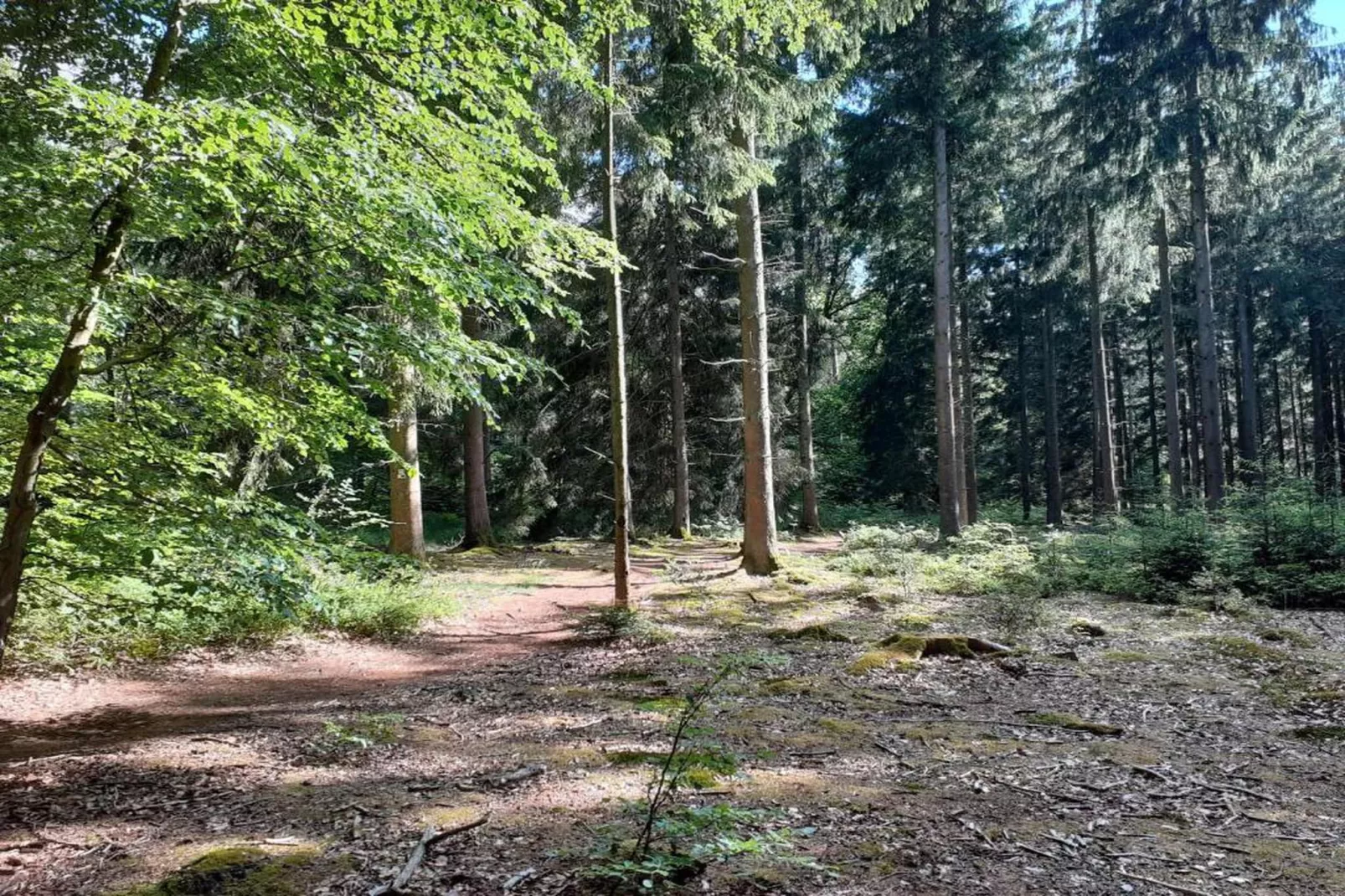 Le Chateau de Balmoral - 34 pers-Gebieden zomer 20km