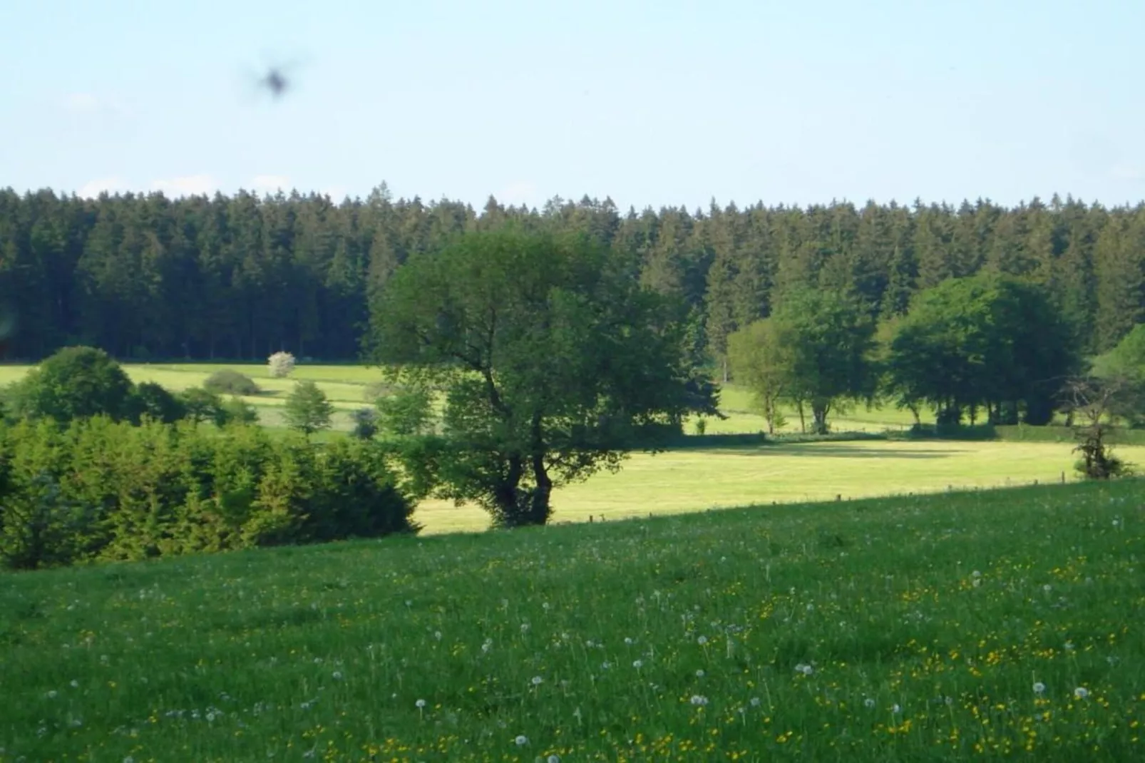 Prémassin-Gebieden zomer 20km