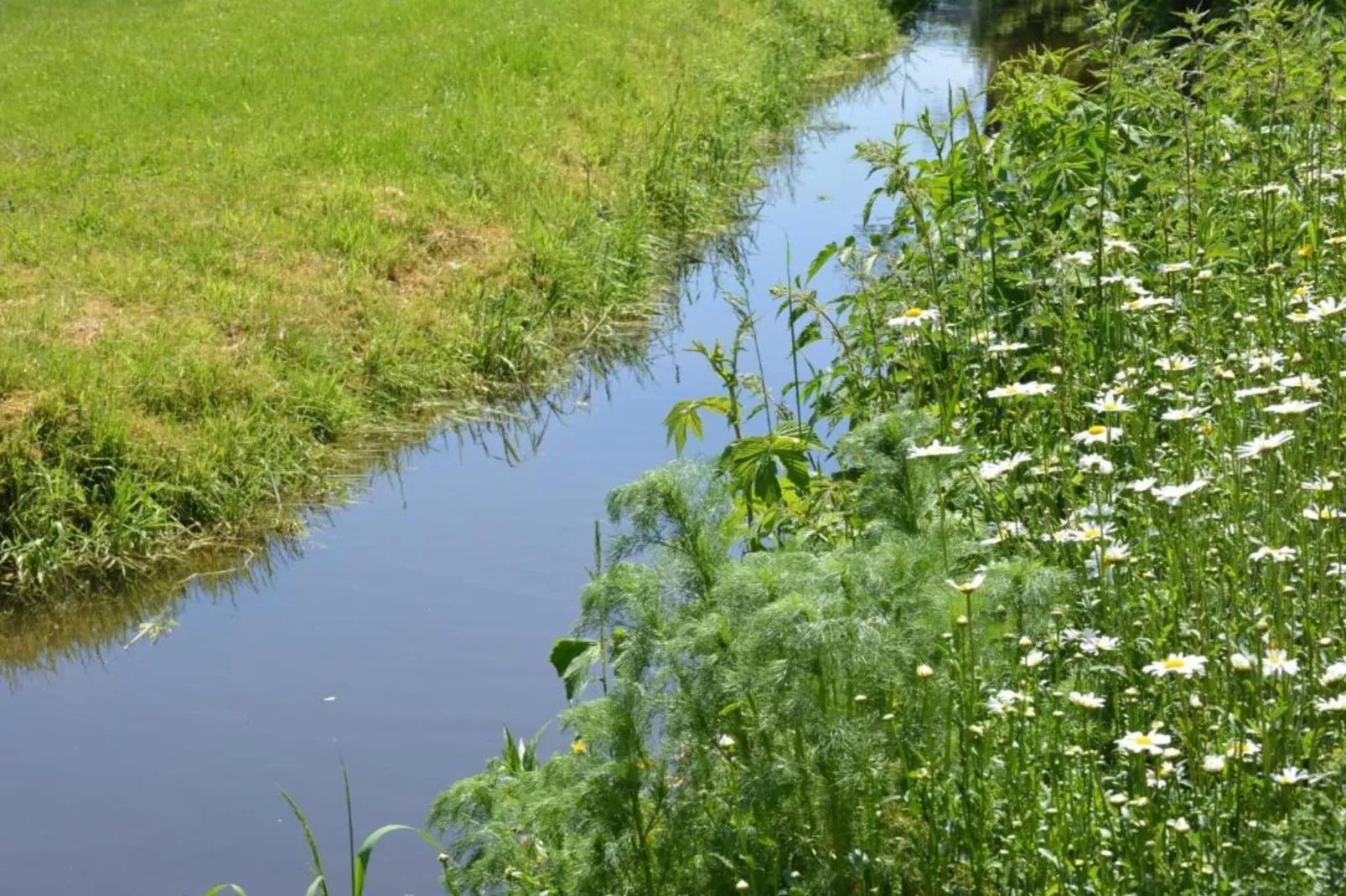Chantemerle-Gebieden zomer 20km