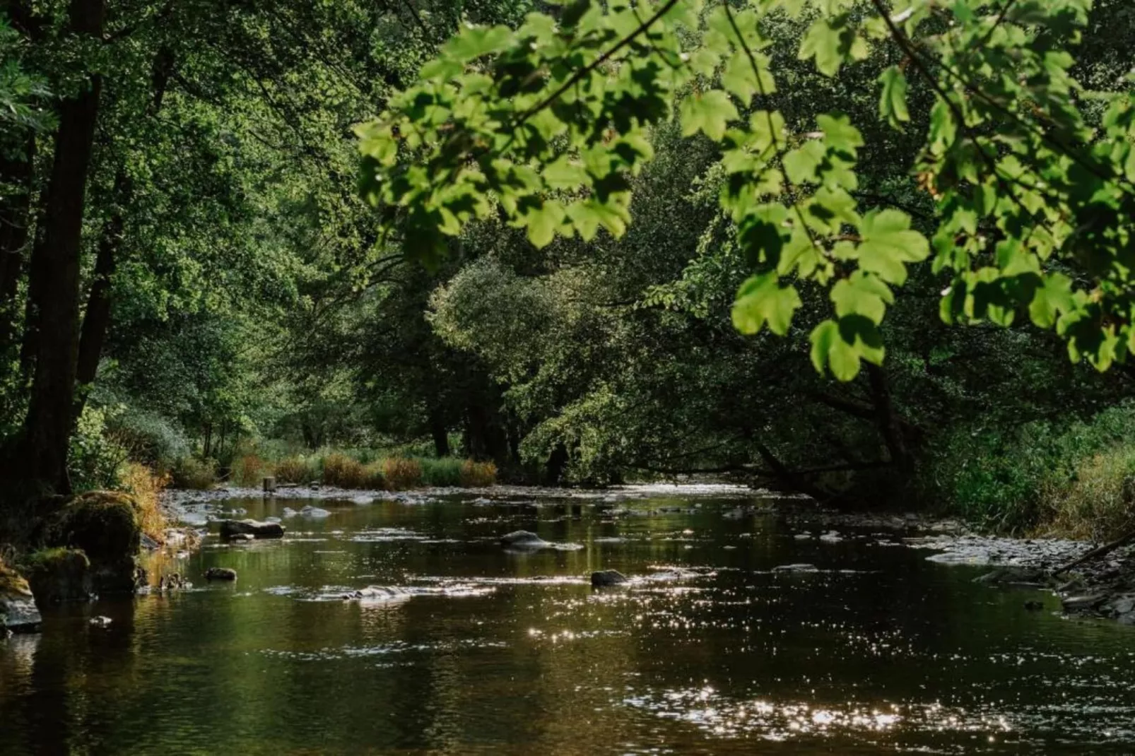 Les Jardins de l'Ourthe 16-Gebieden zomer 20km