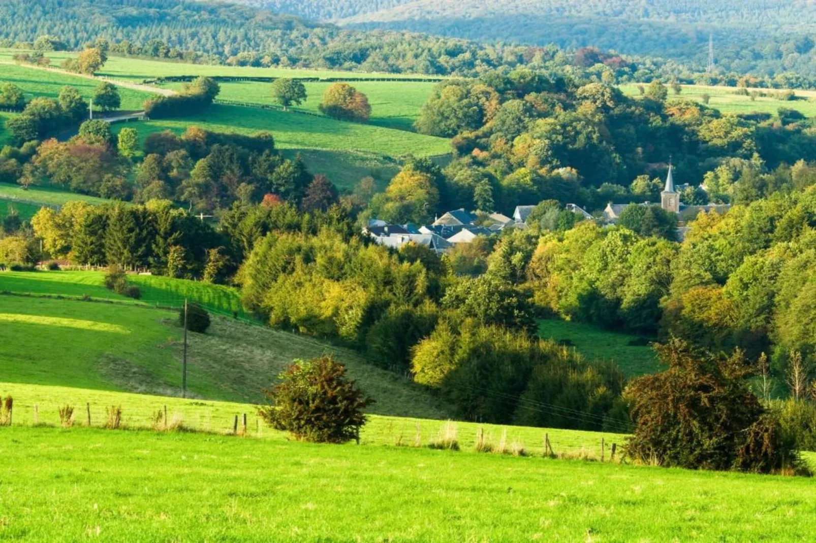 A la lisière de la forêt-Gebieden zomer 20km
