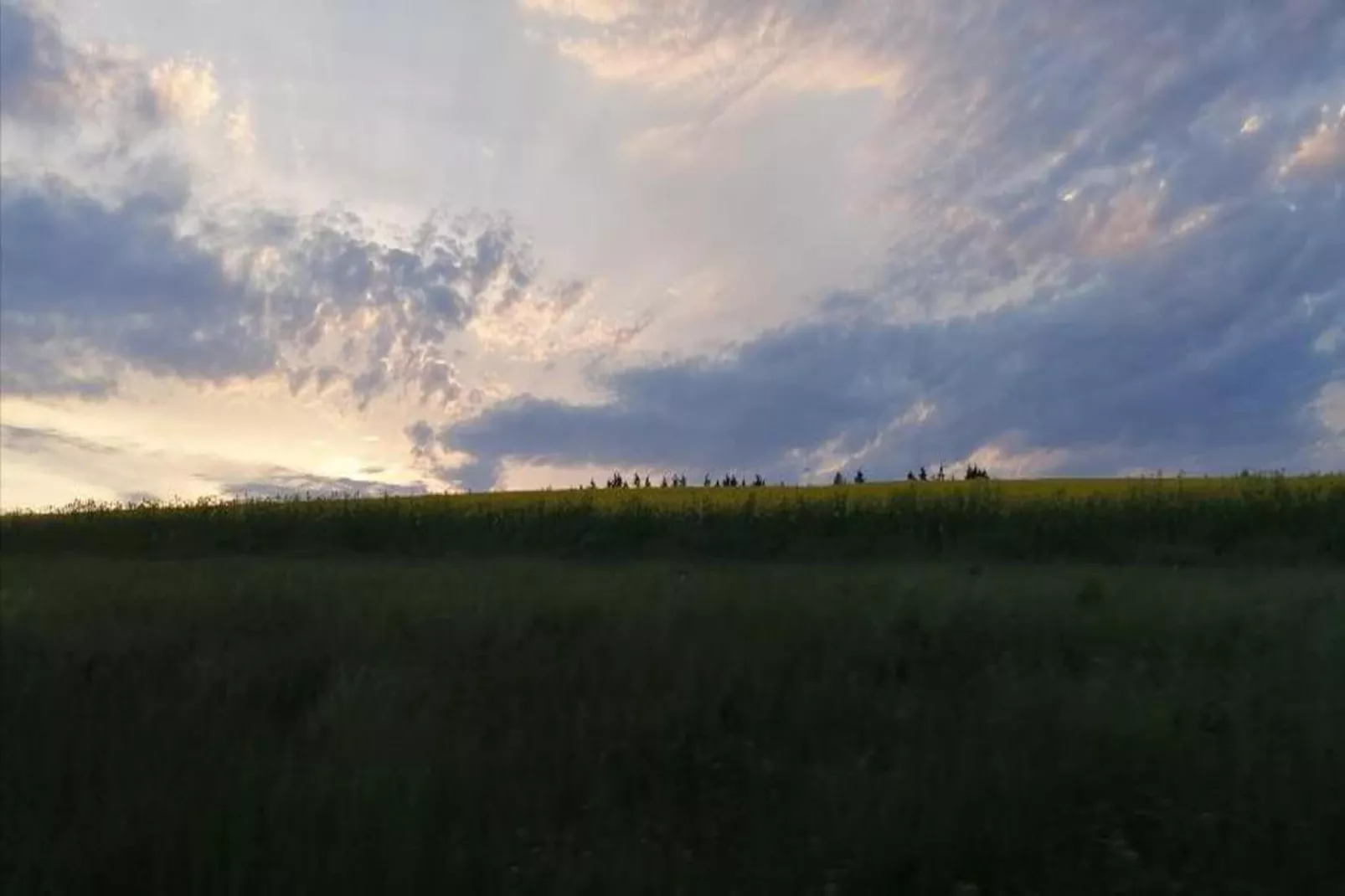 Chateau Angelus-Gebieden zomer 20km