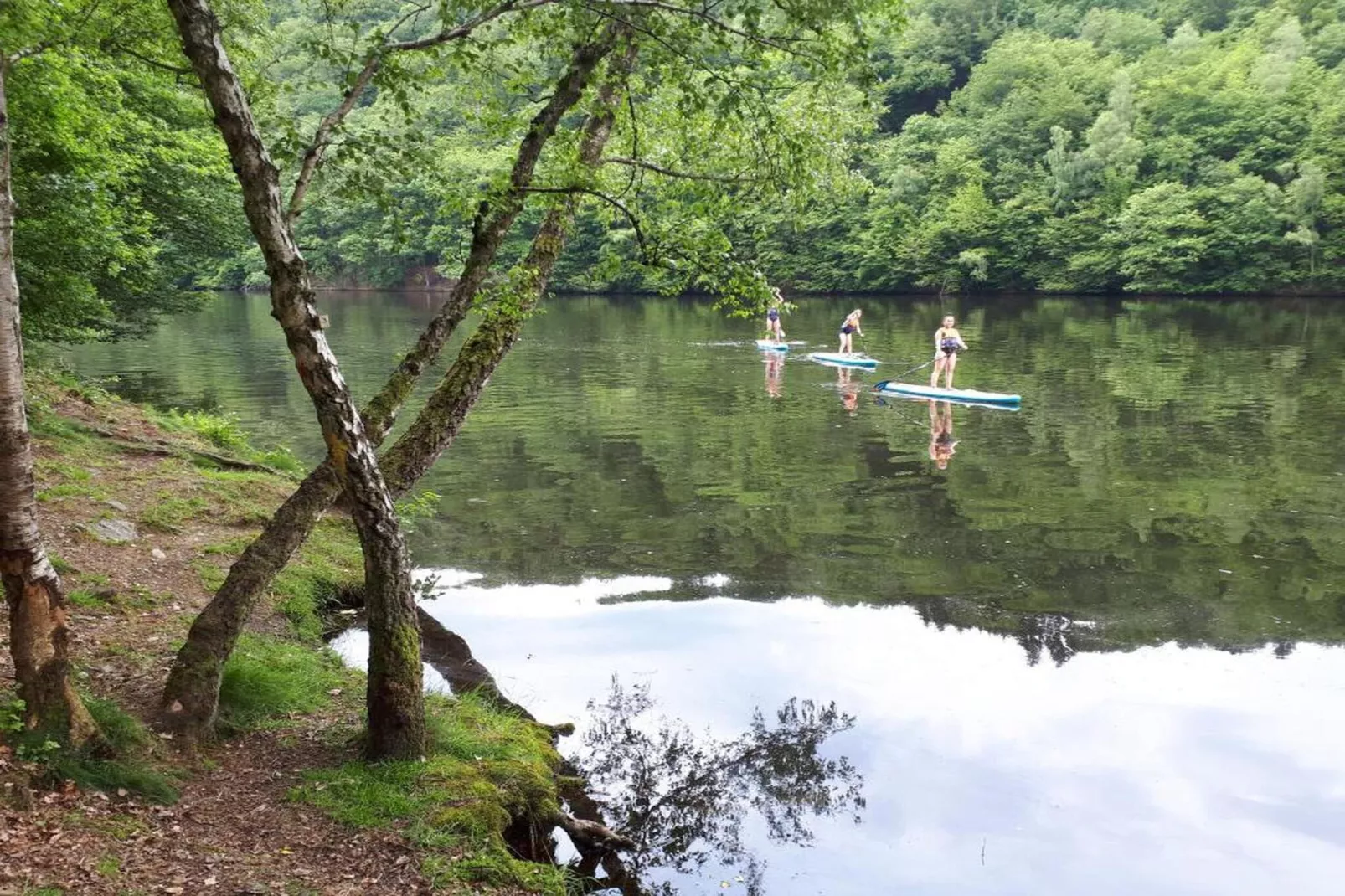 Venus 4-Gebieden zomer 20km