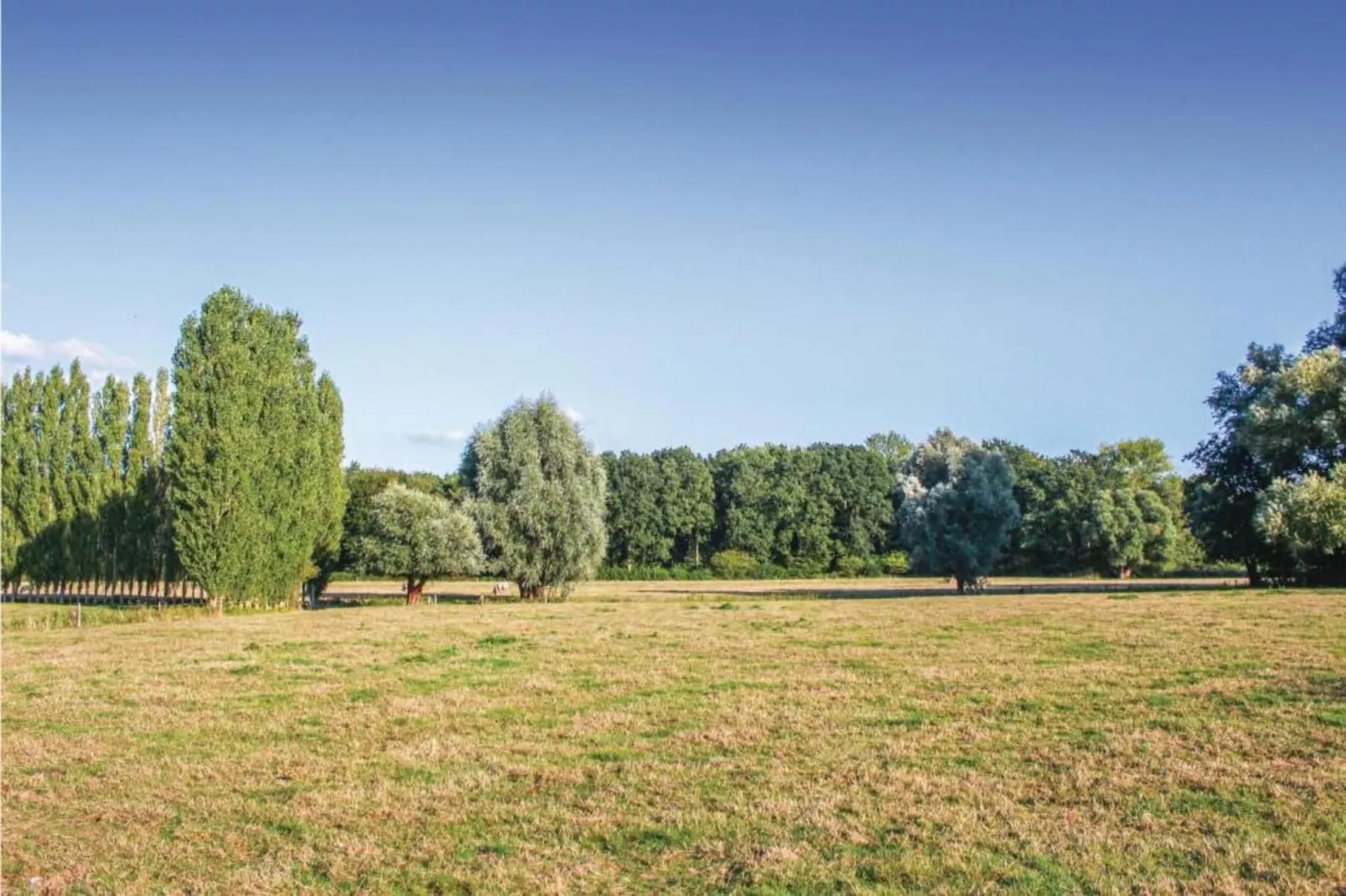 Casteeldoorn-Gebieden zomer 20km