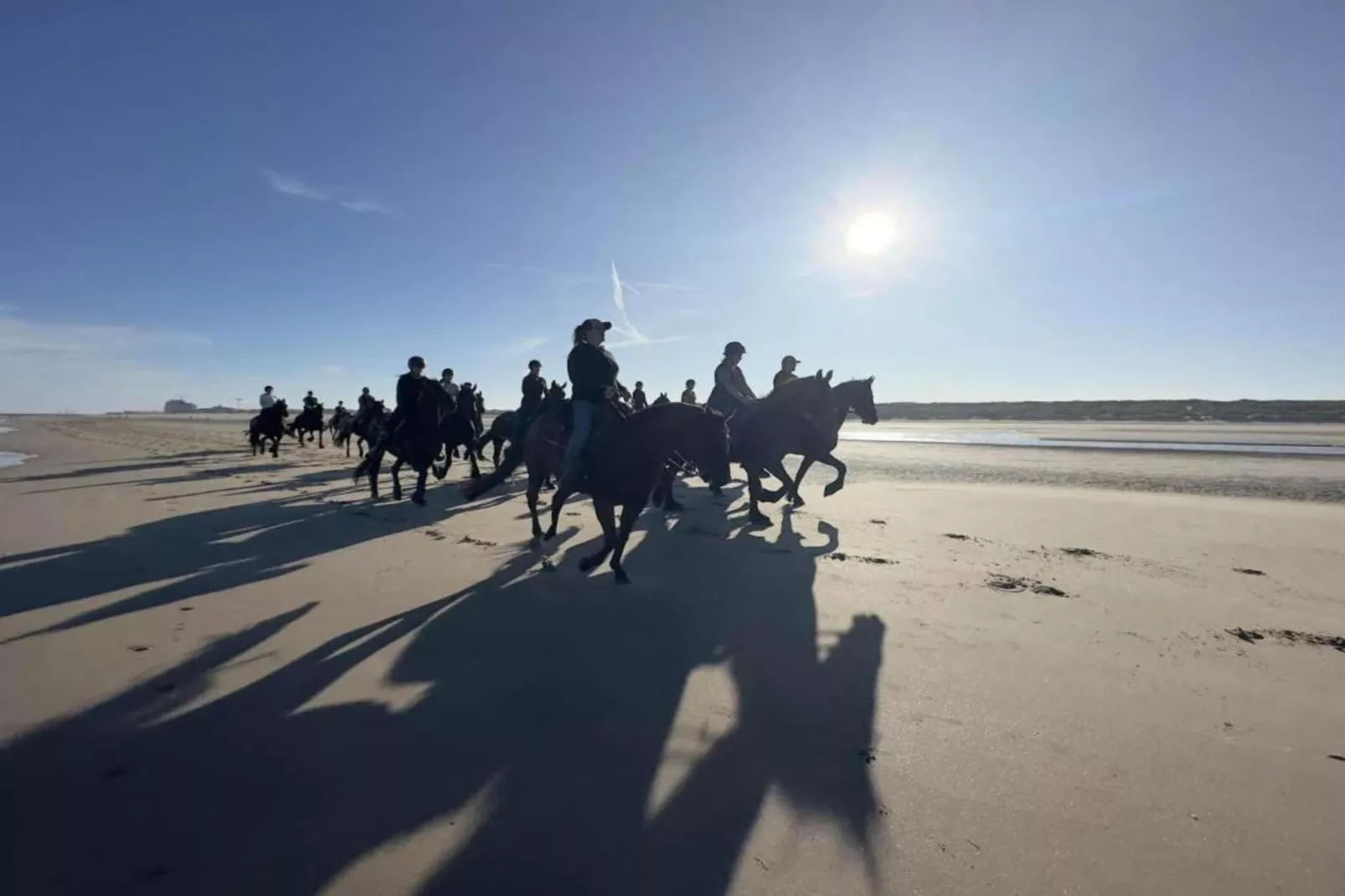 Residentie Shamrock Bianca-Gebieden zomer 20km