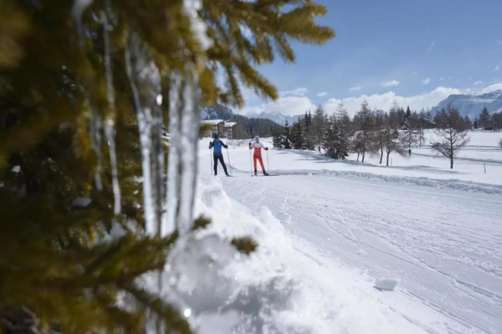 Chalet Rivendell-Gebied winter 20km