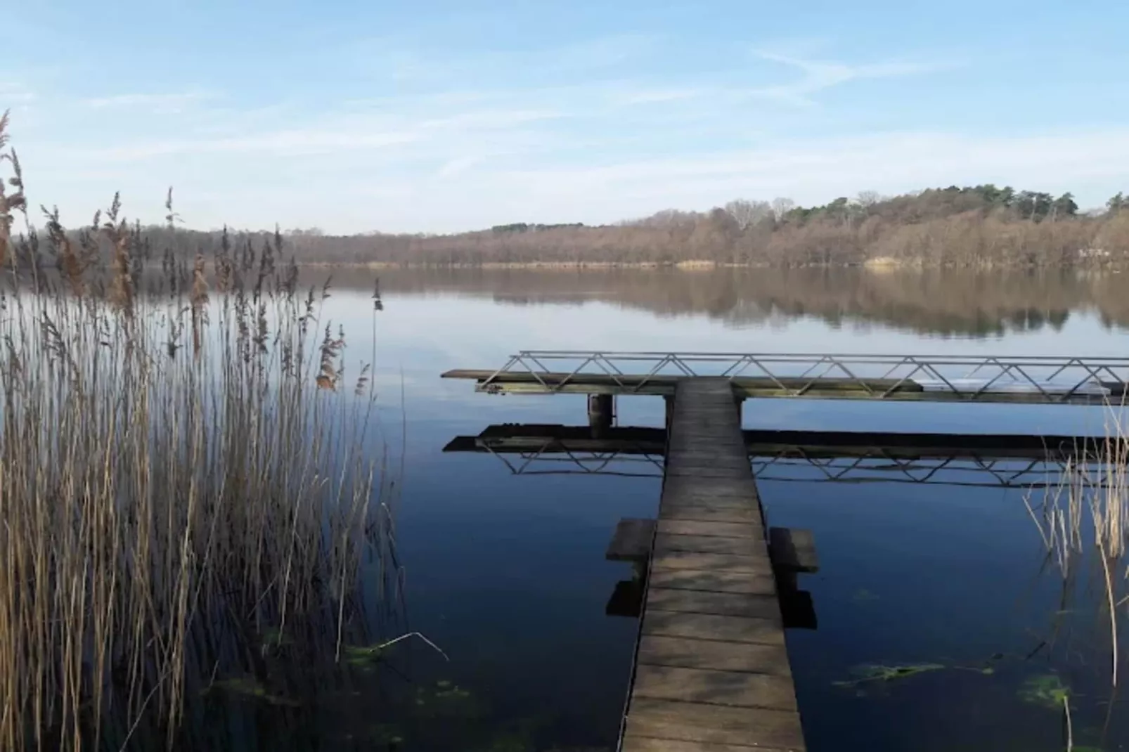 Bungalow 50 qm 5 Pers-Gebieden zomer 5km