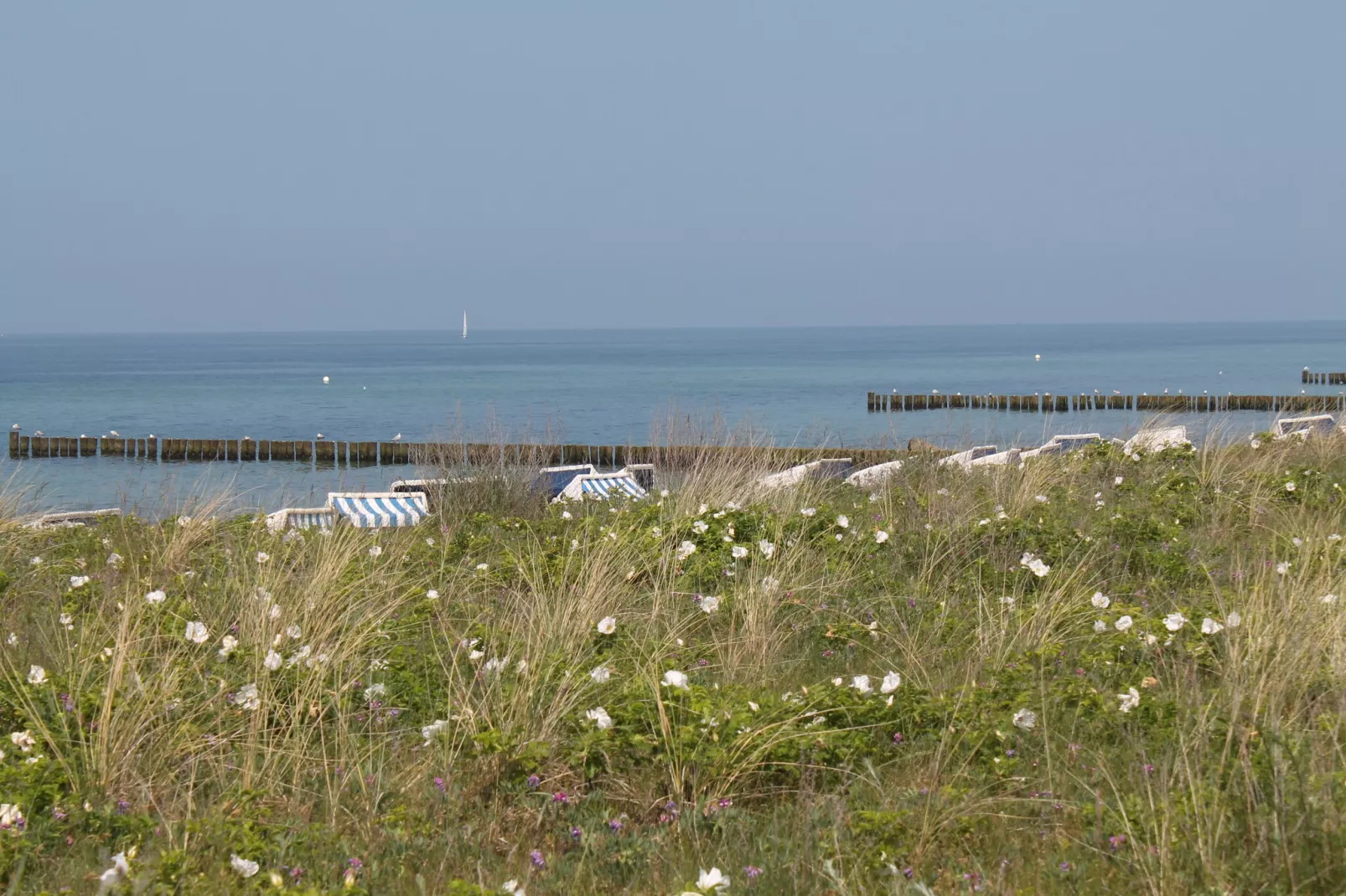 Blockhaus Zum Strande-Gebieden zomer 20km
