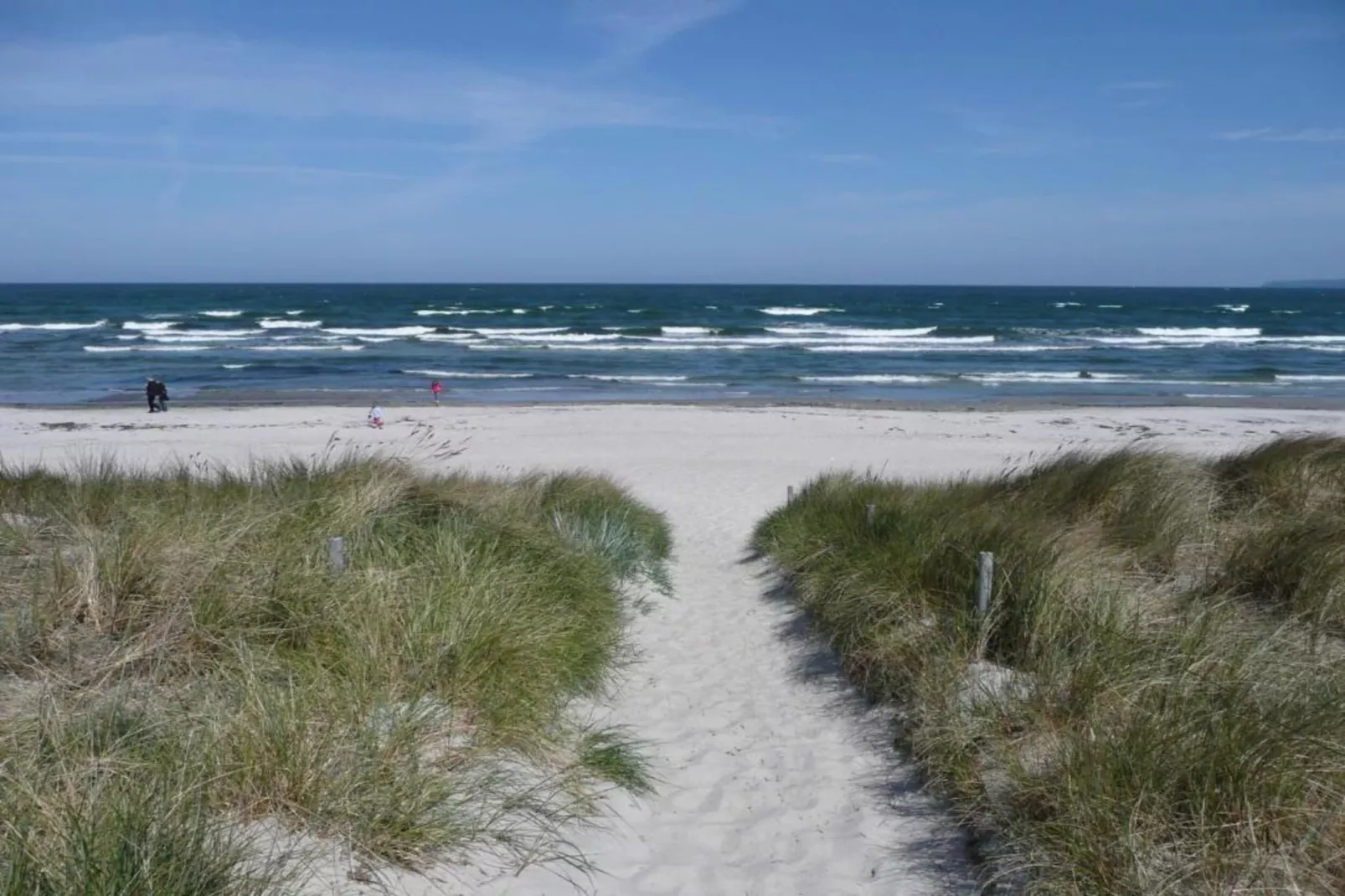 Uferschwalbe 3-Gebieden zomer 20km