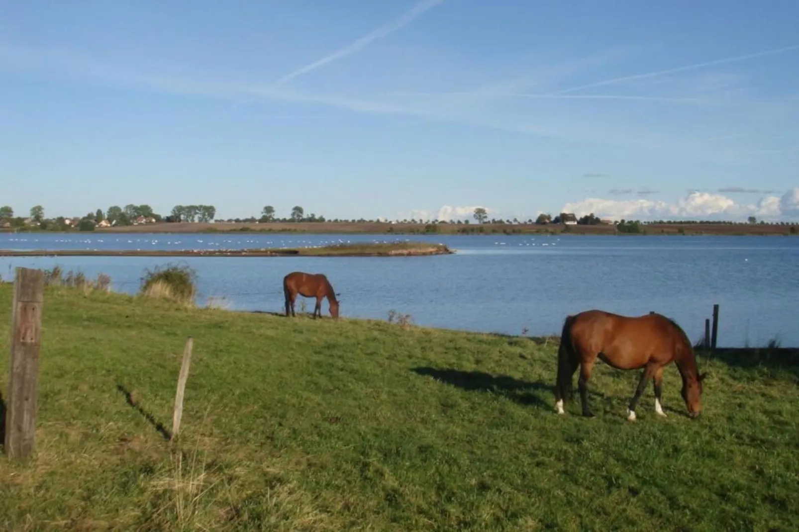 Bungalowanlage Gänseblümchen 2-Gebieden zomer 20km
