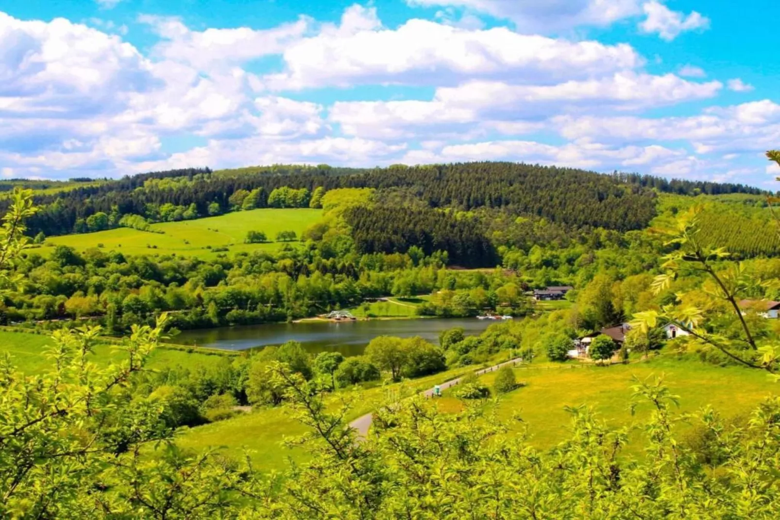 Ferienwohnung Schloss- Altshausen-Gebieden zomer 20km